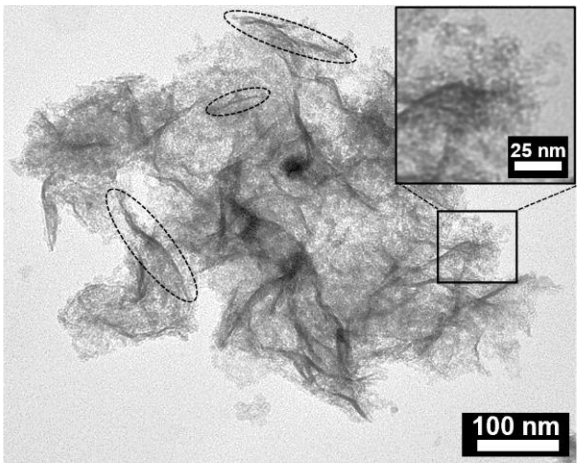 Nanomaterials 12 03503 g002