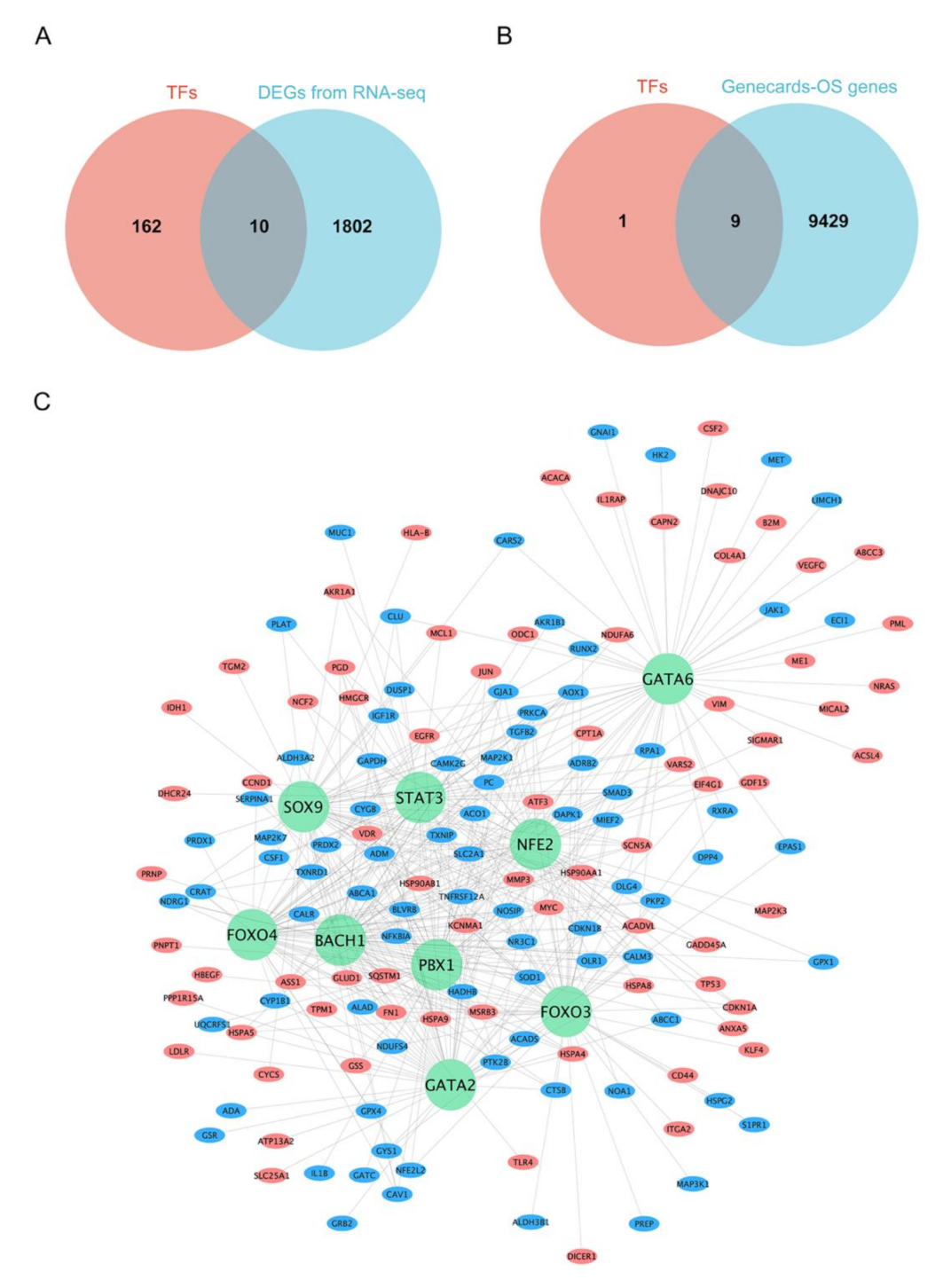 Nanomaterials 12 03507 g004