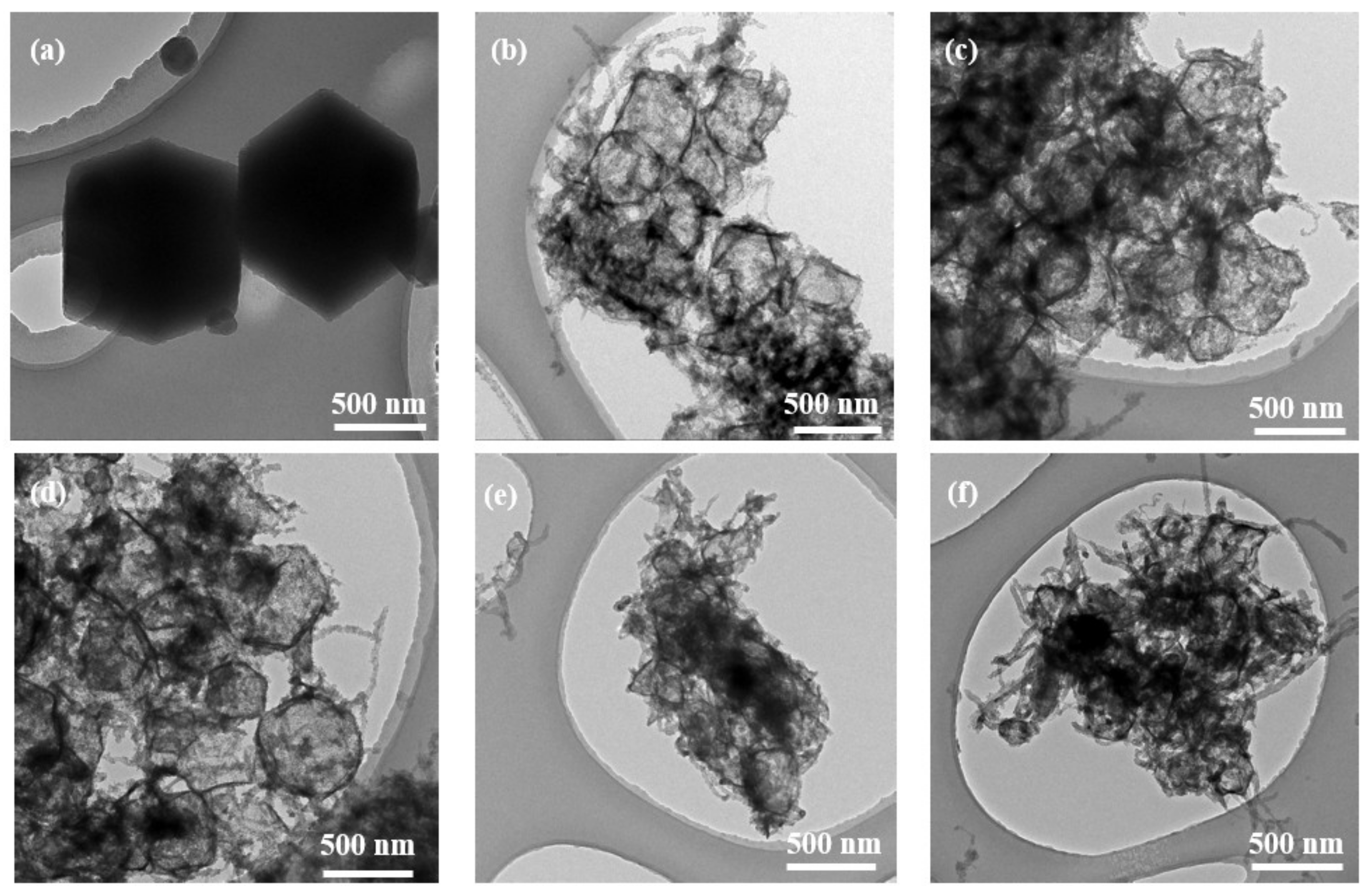 Nanomaterials 12 03509 g003
