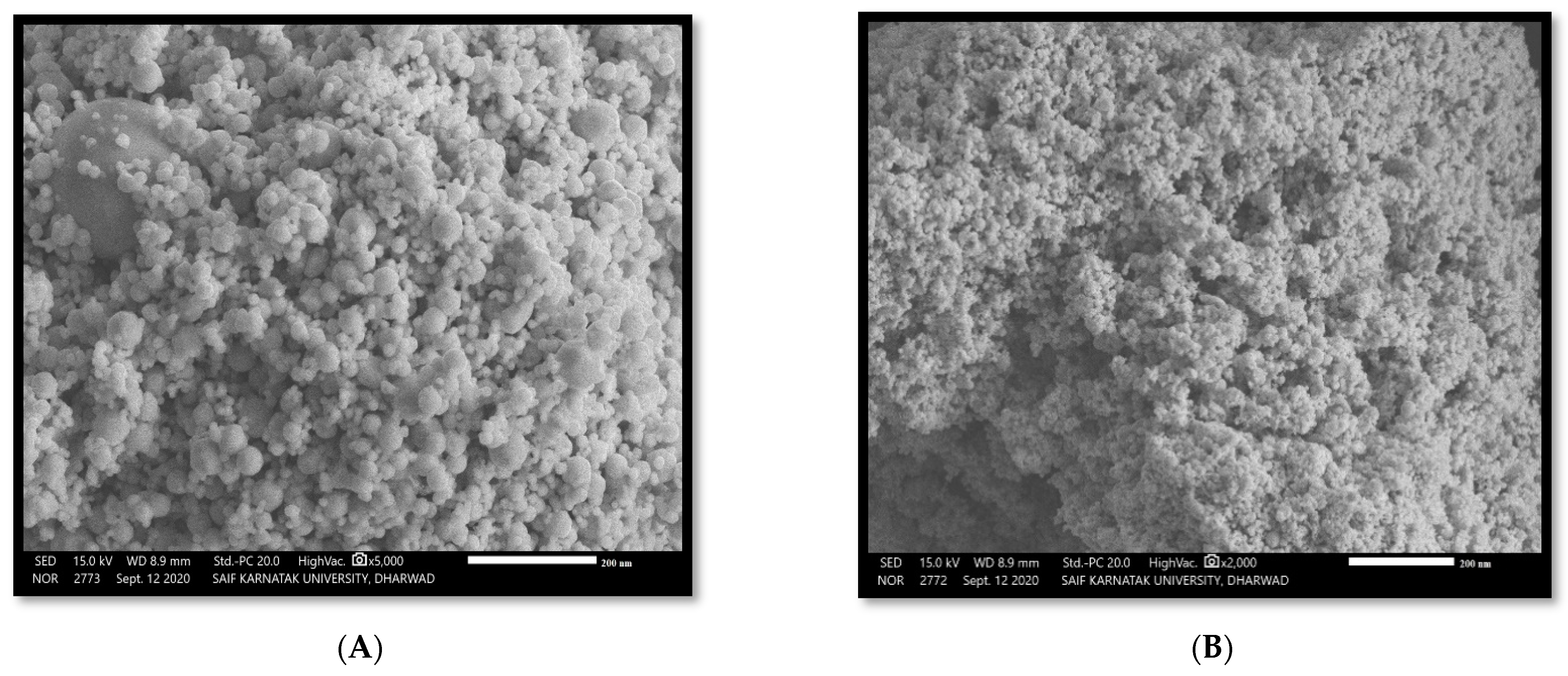 Nanomaterials 12 03511 g004 Nanomaterials 12 03511 g004