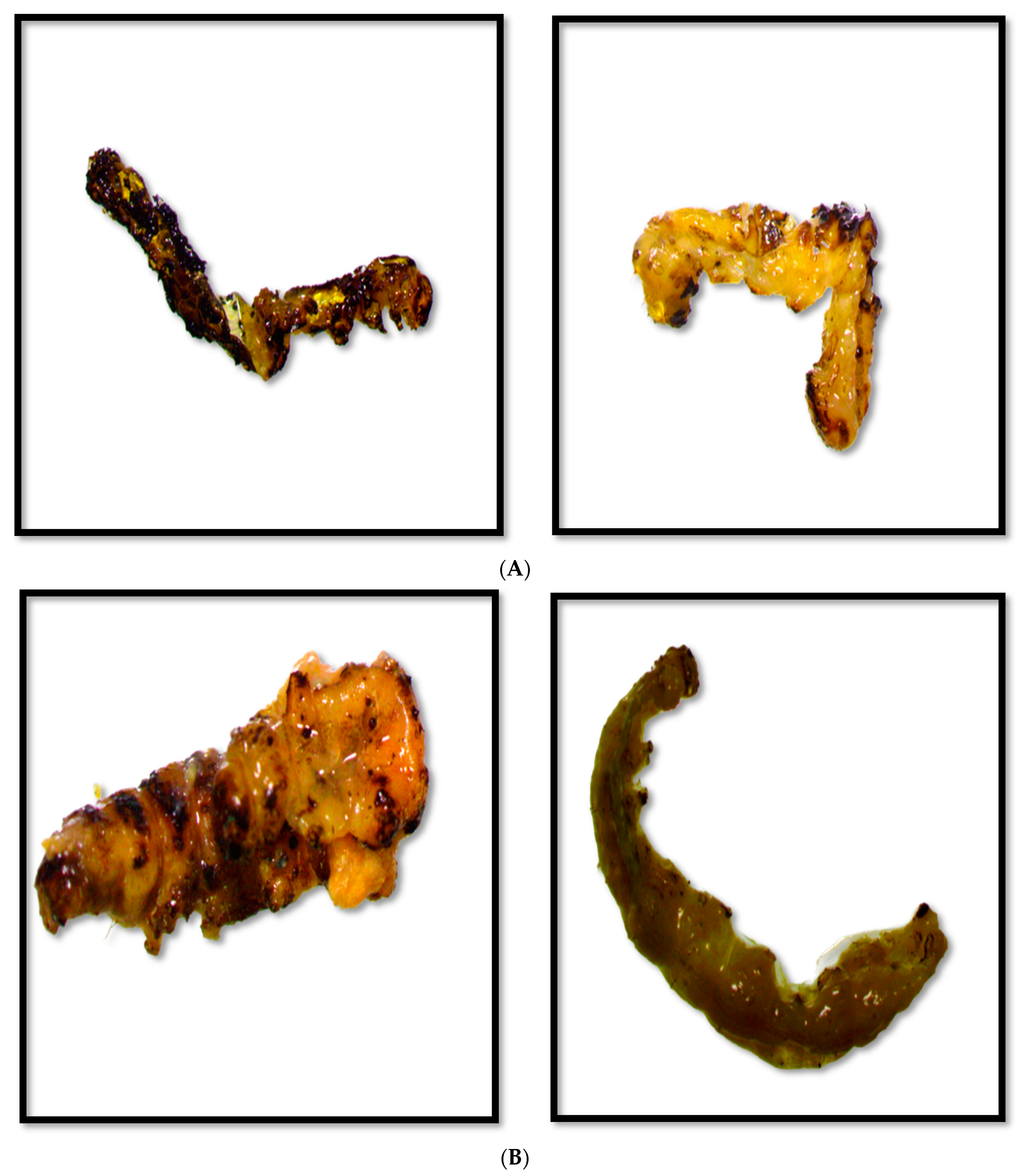 Nanomaterials 12 03511 g005 Nanomaterials 12 03511 g005
