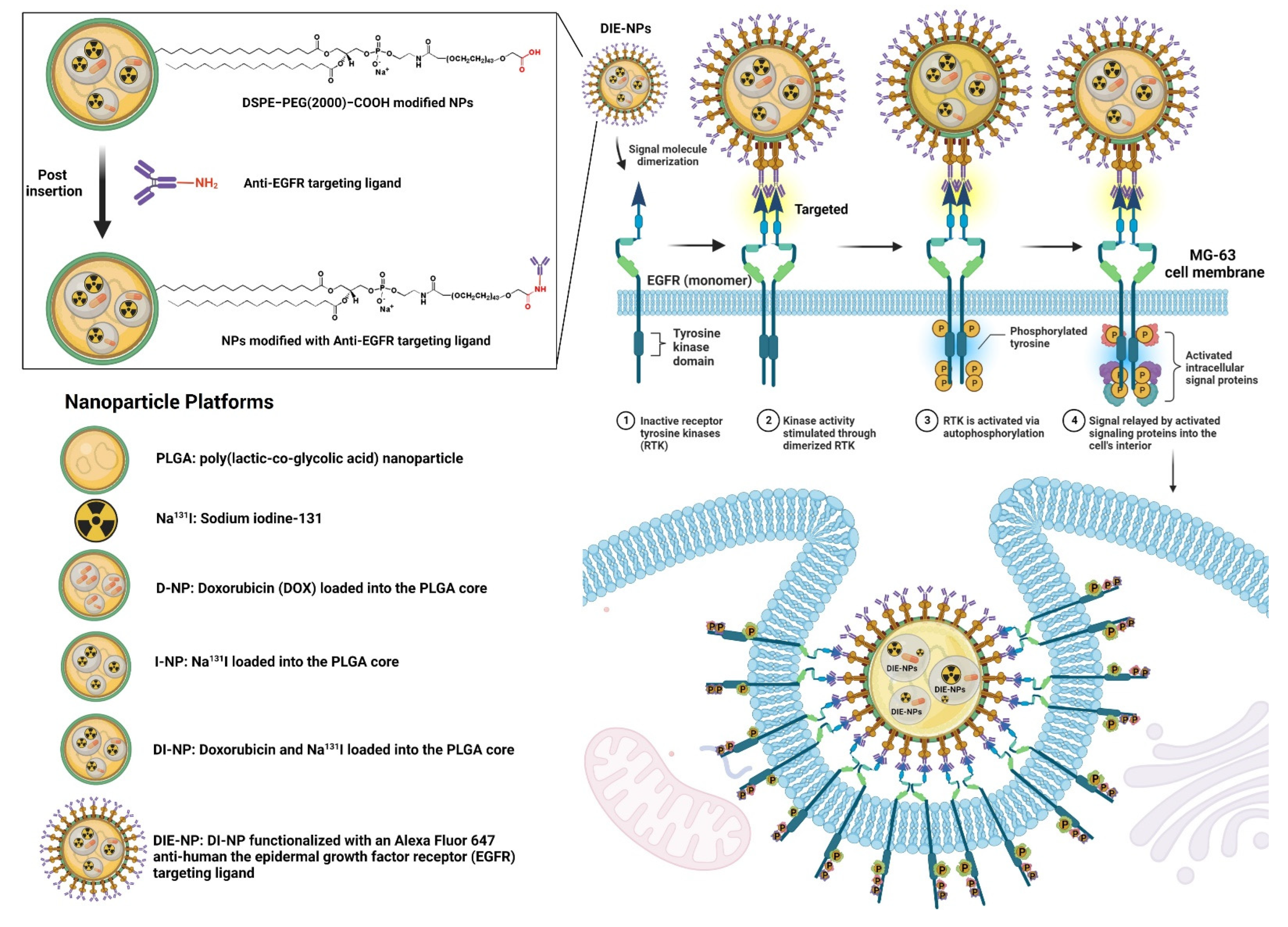 Nanomaterials 12 03517 g001 Nanomaterials 12 03517 g001