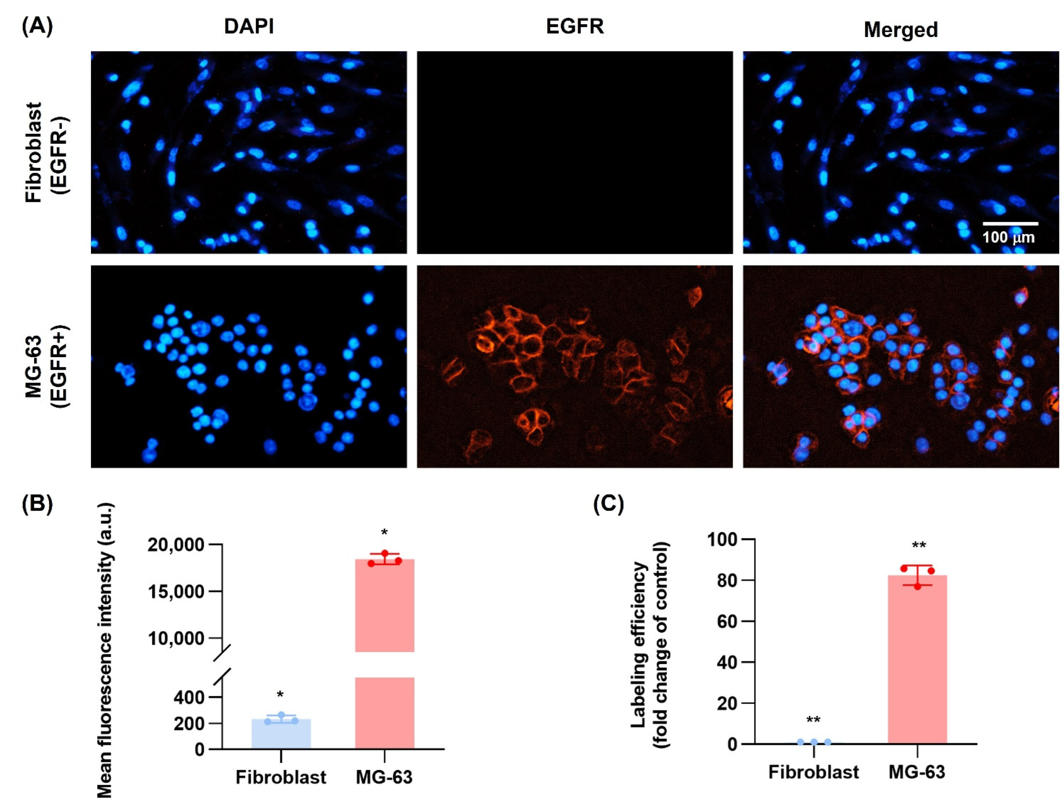 Nanomaterials 12 03517 g007 Nanomaterials 12 03517 g007