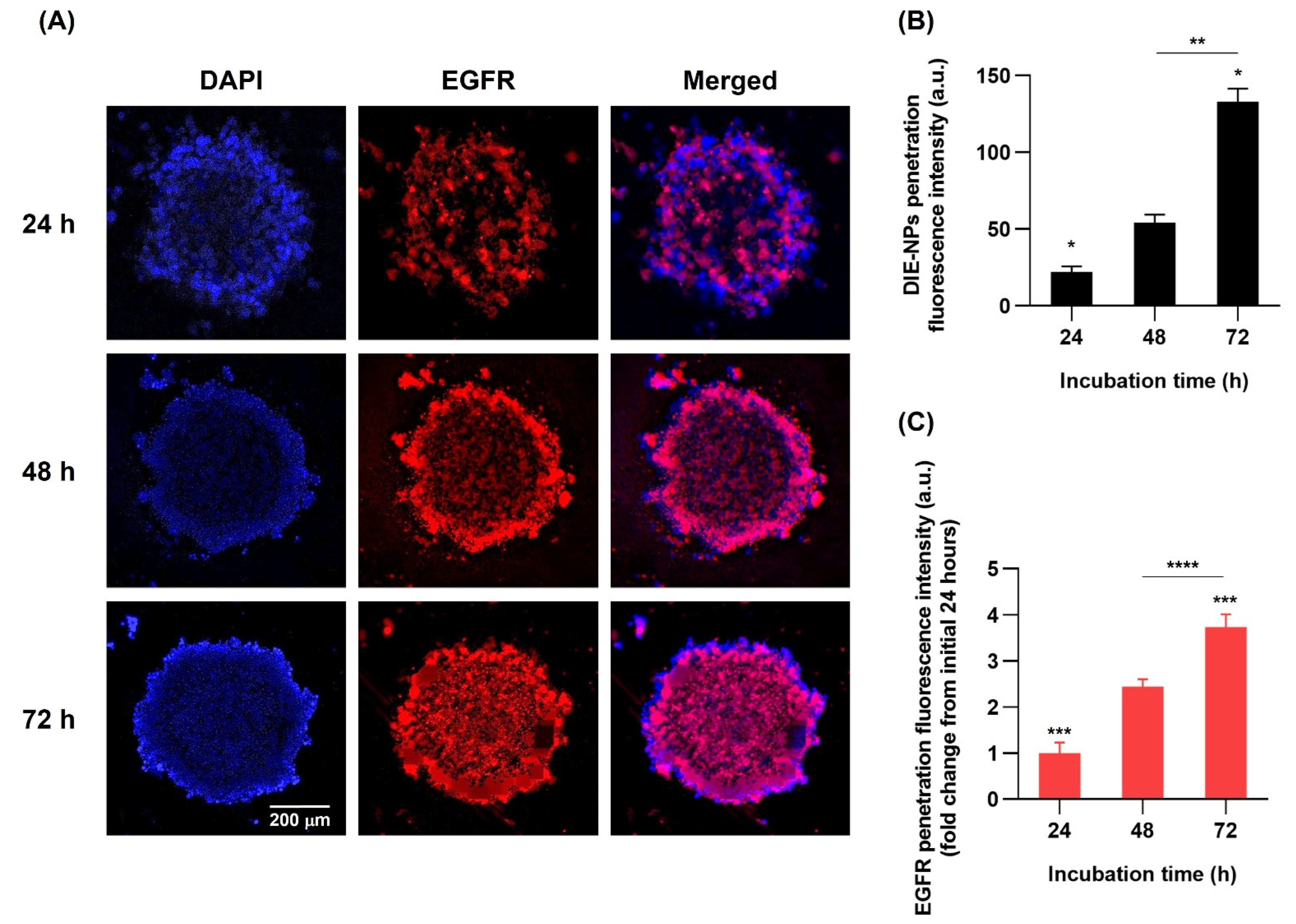 Nanomaterials 12 03517 g010 Nanomaterials 12 03517 g010
