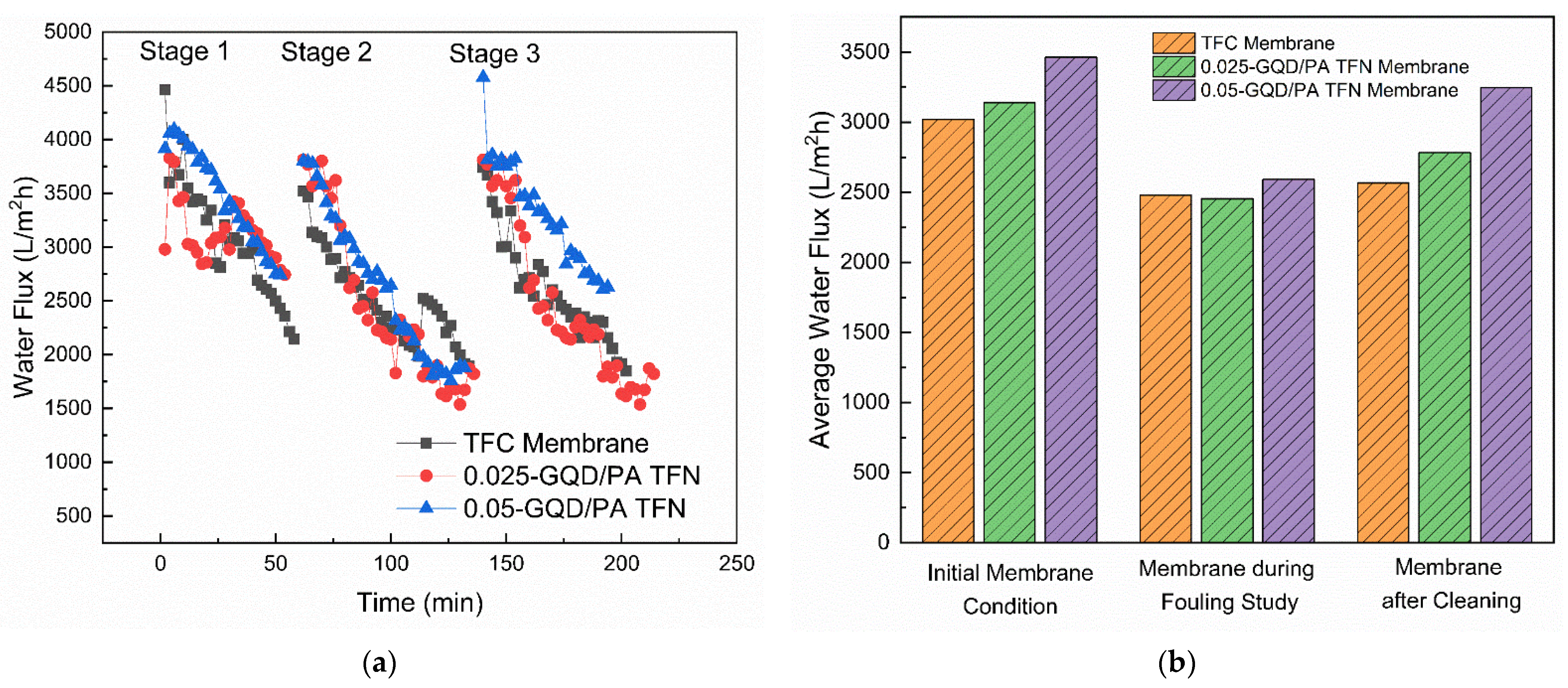 Nanomaterials 12 03519 g014