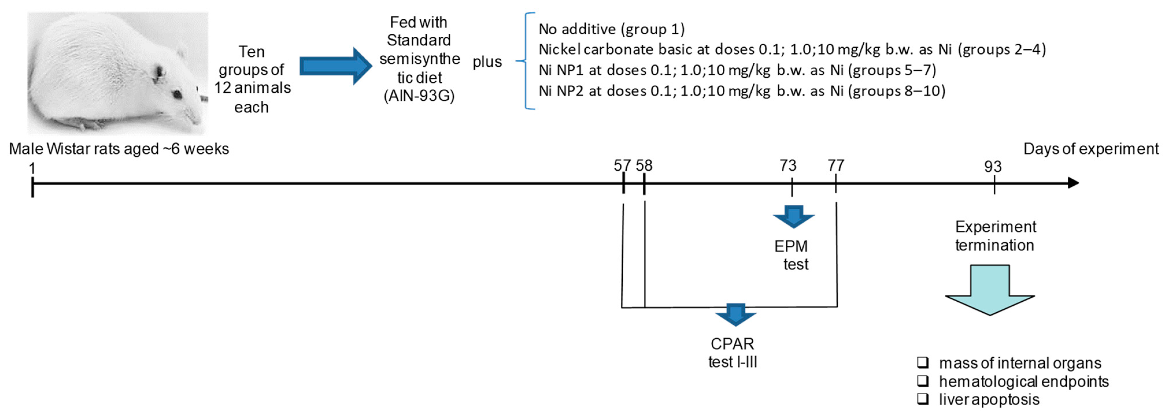 Nanomaterials 12 03523 g001 Nanomaterials 12 03523 g001