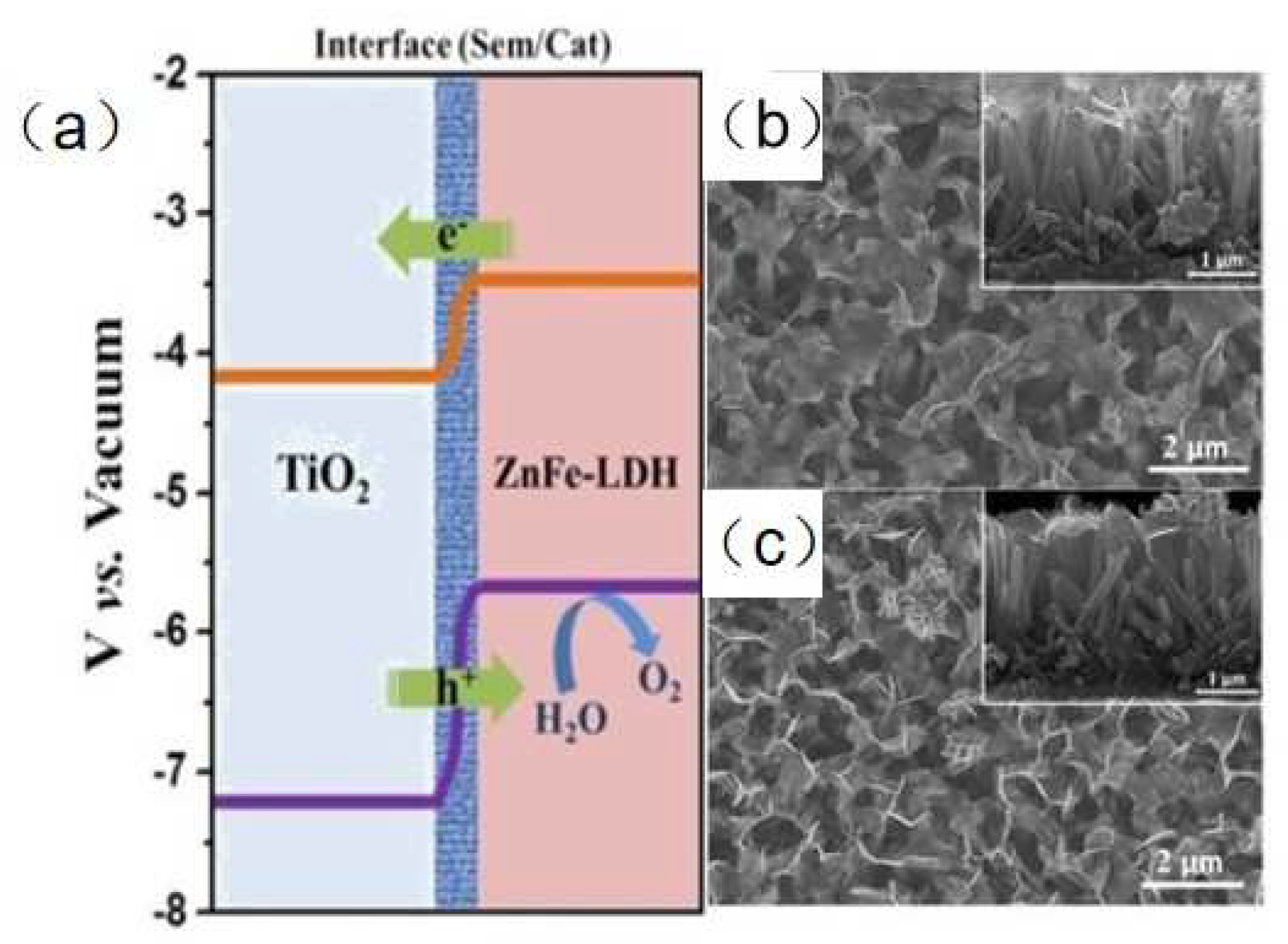 Nanomaterials 12 03525 g005