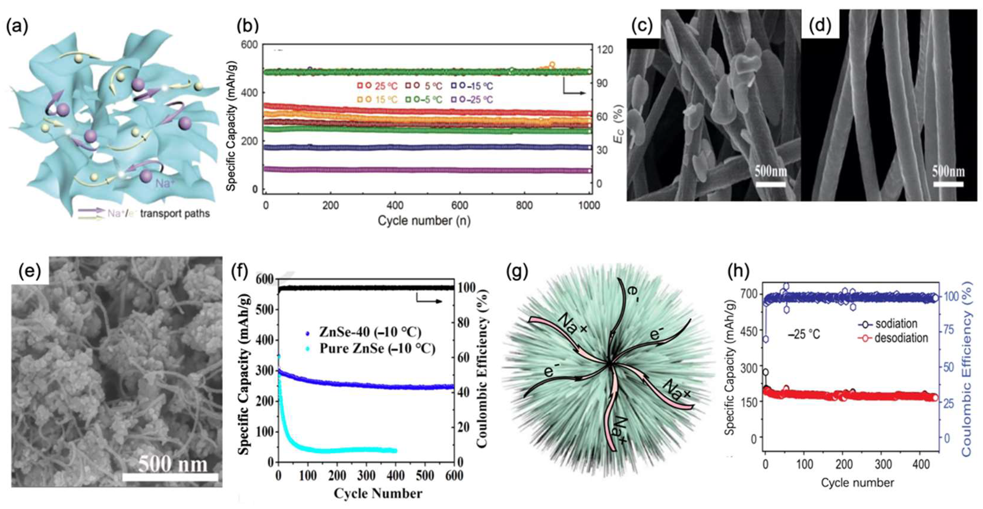 Nanomaterials 12 03529 g007