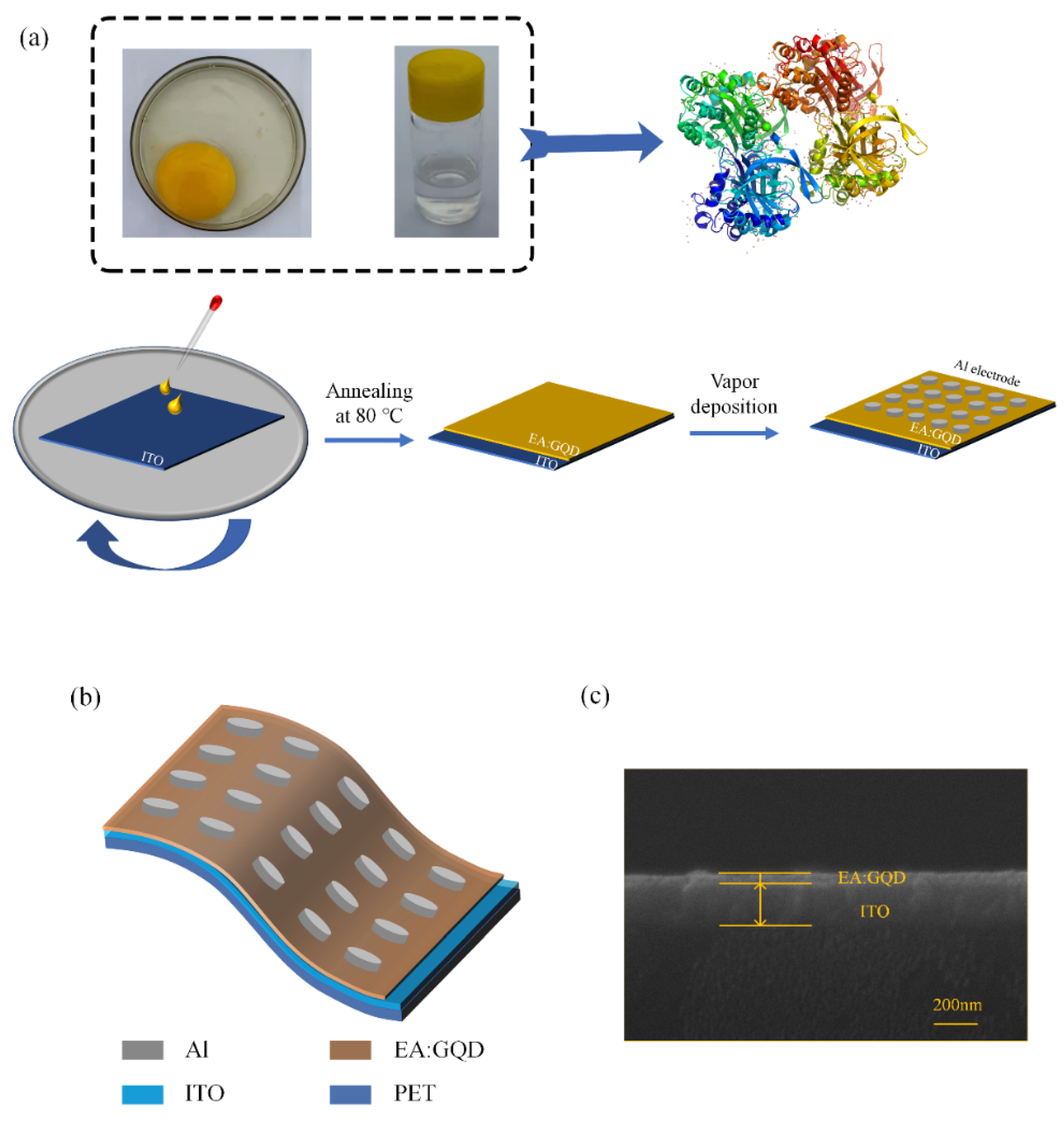 Nanomaterials 12 03531 g001 Nanomaterials 12 03531 g001