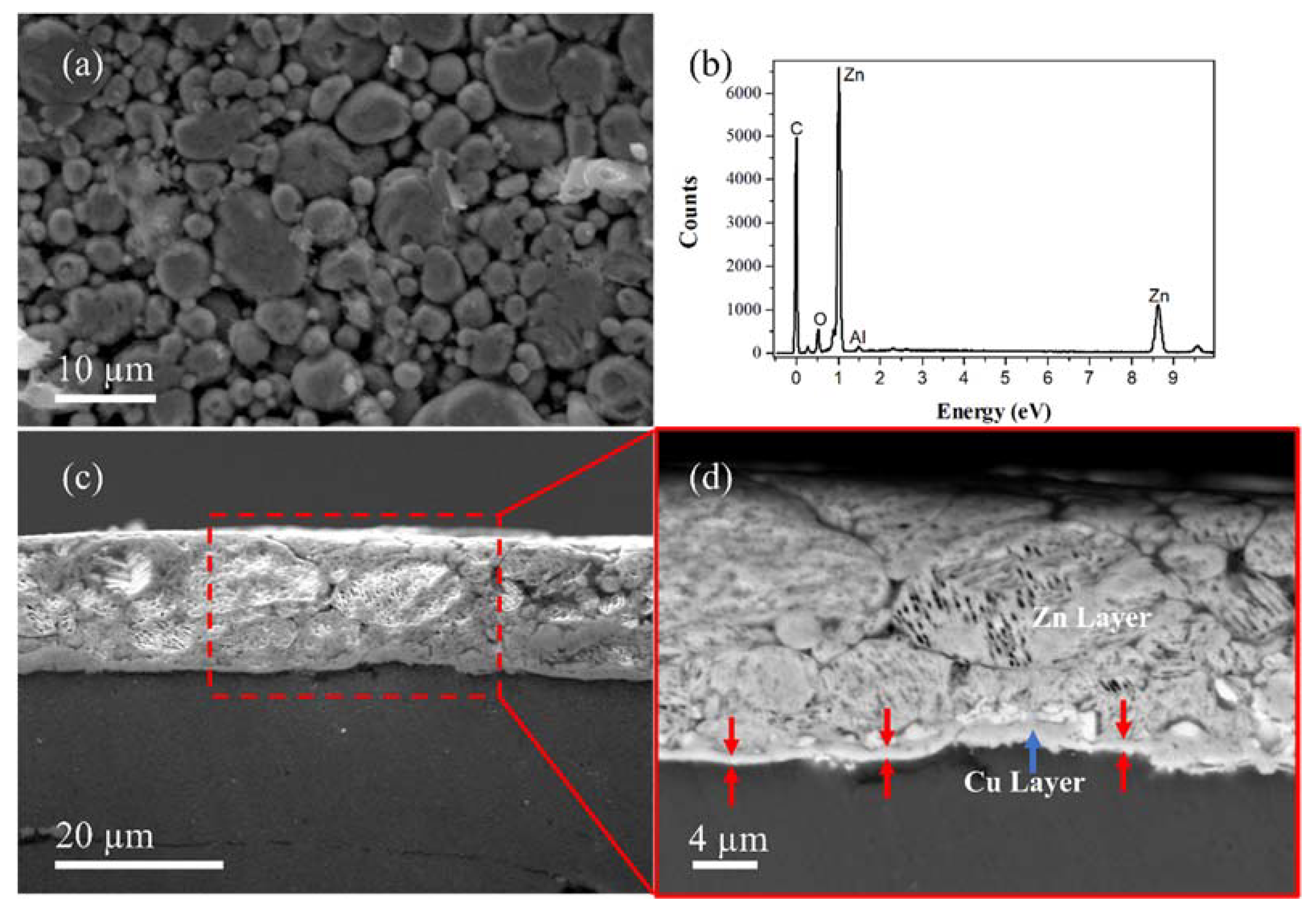 Nanomaterials 12 03535 g003