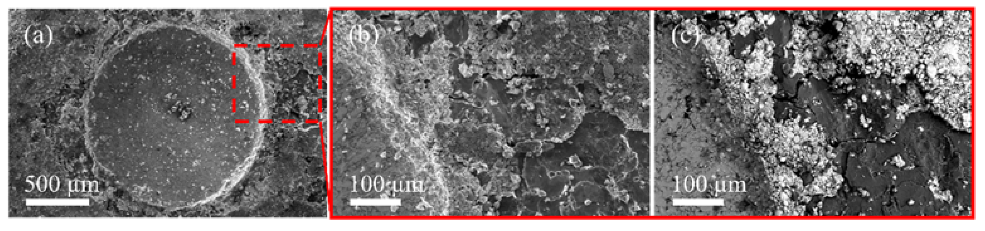 Nanomaterials 12 03535 g004