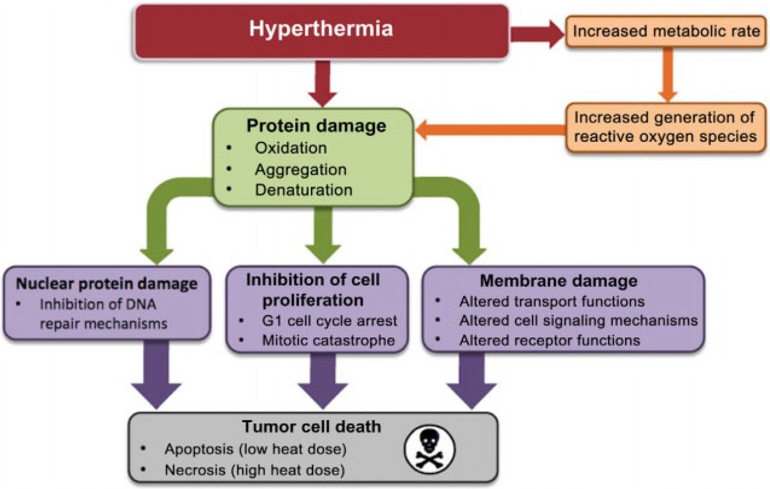 Nanomaterials 12 03539 g002