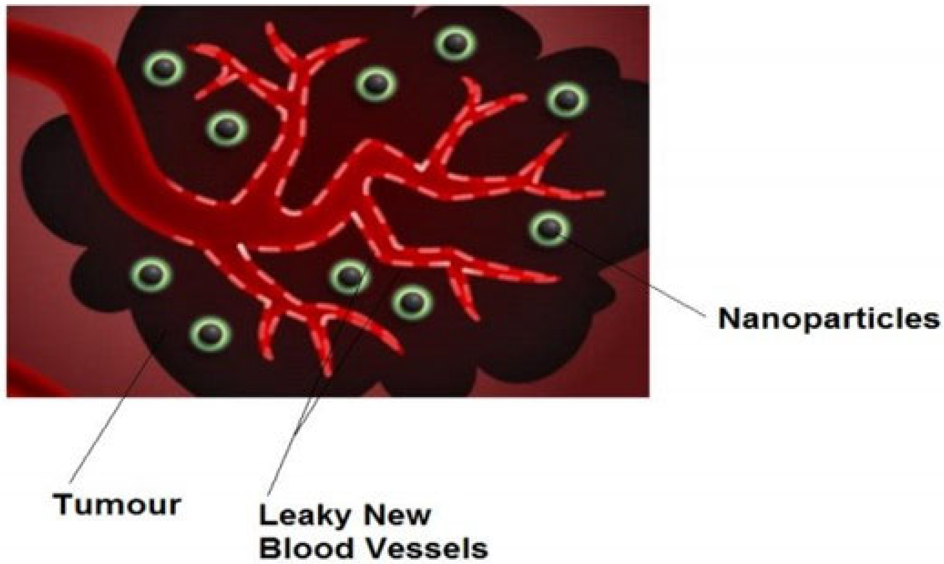 Nanomaterials 12 03539 g003