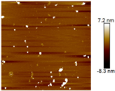 Nanomaterials 12 03545 i001