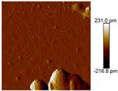 Nanomaterials 12 03545 i002