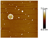 Nanomaterials 12 03545 i003