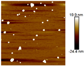 Nanomaterials 12 03545 i004