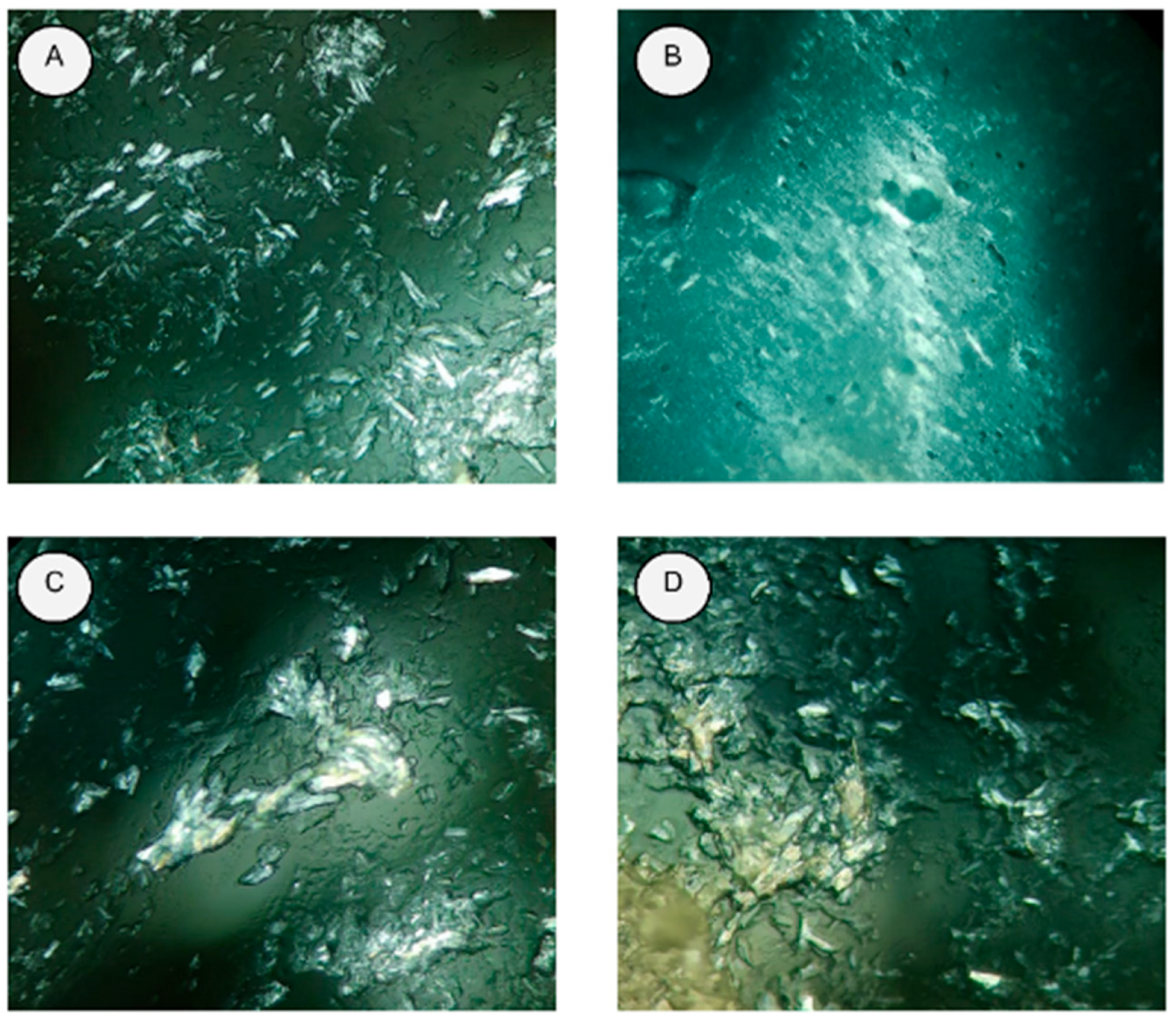 Nanomaterials 12 03547 g002 Nanomaterials 12 03547 g002