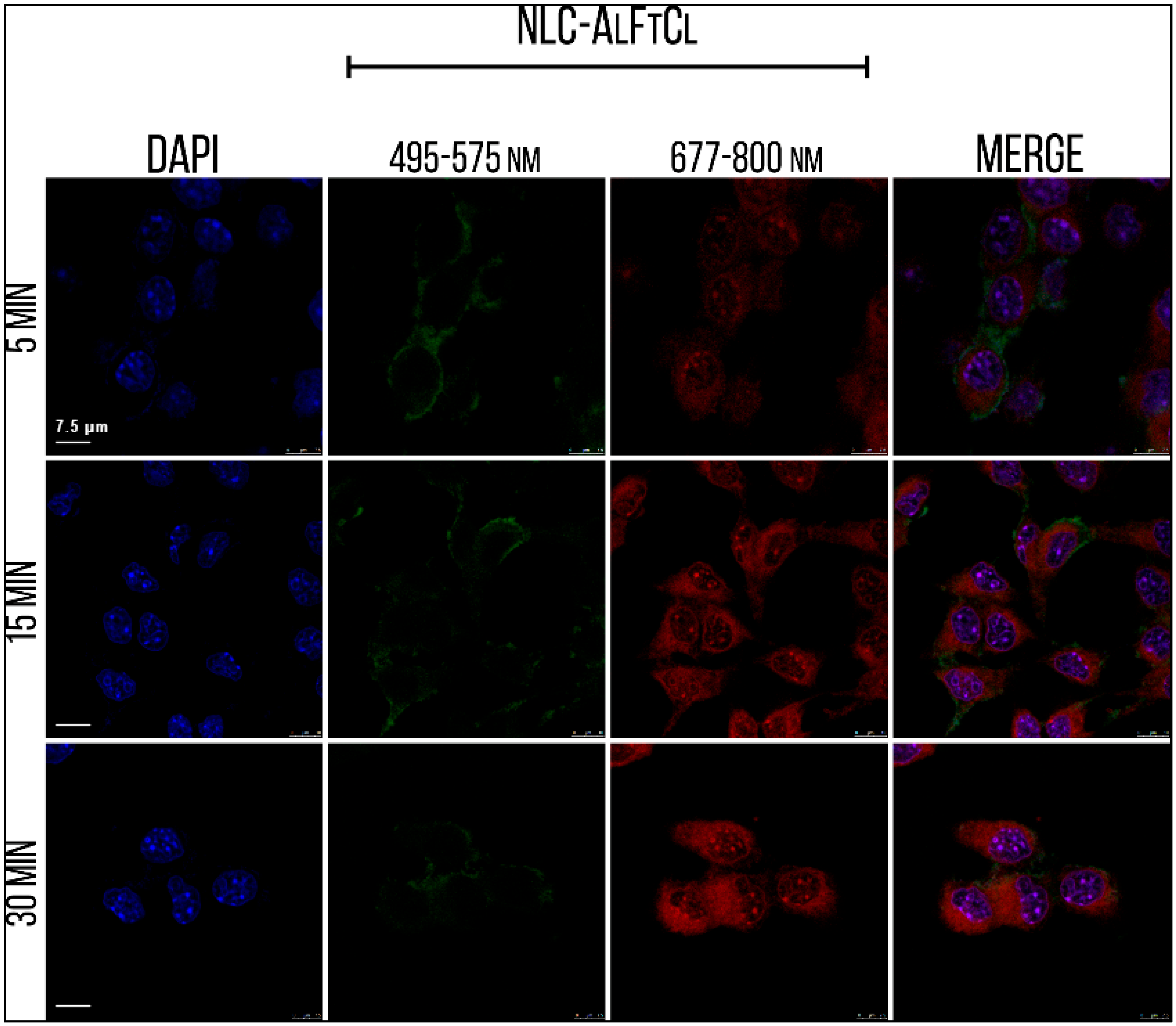 Nanomaterials 12 03547 g009 Nanomaterials 12 03547 g009