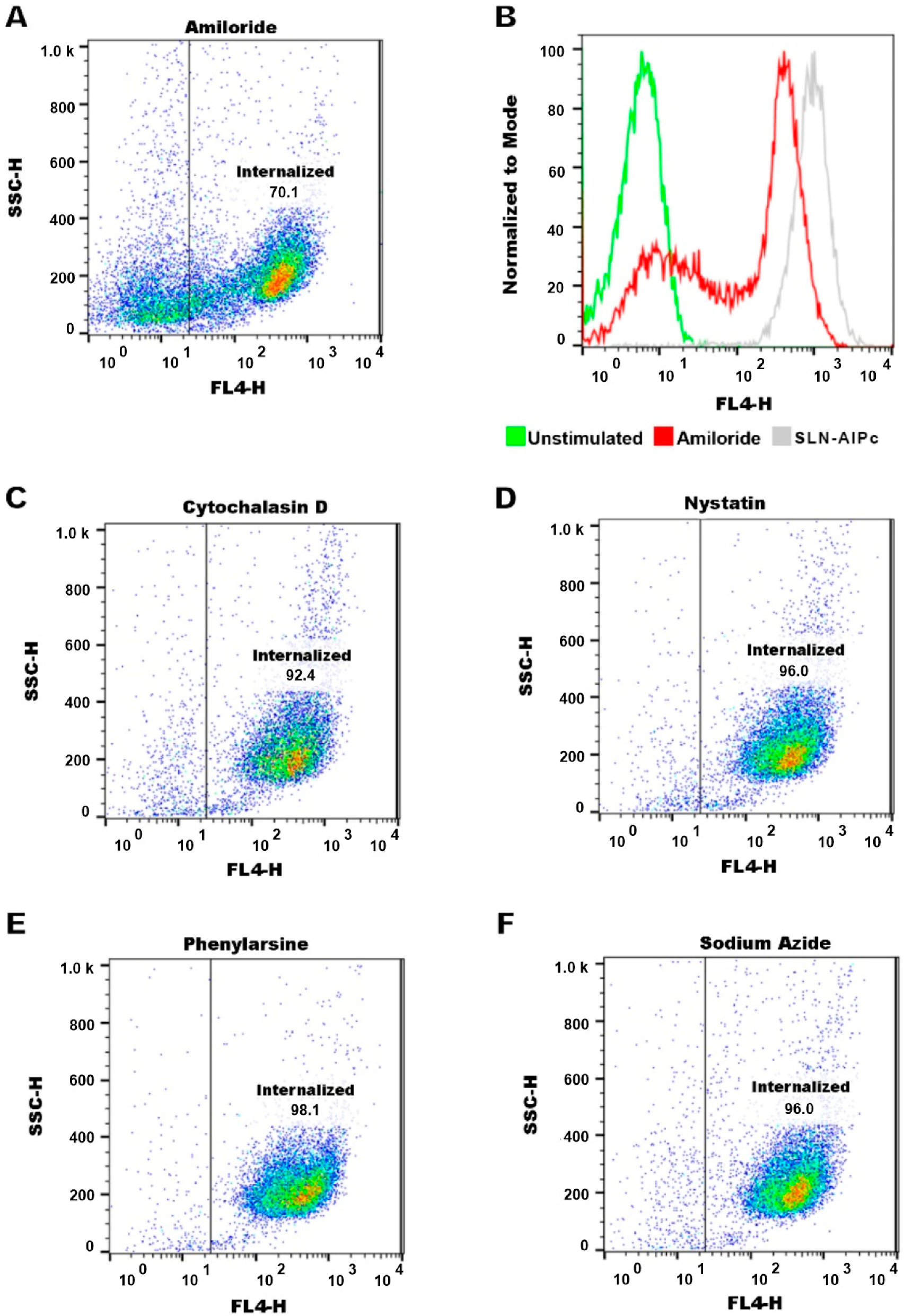 Nanomaterials 12 03547 g010 Nanomaterials 12 03547 g010