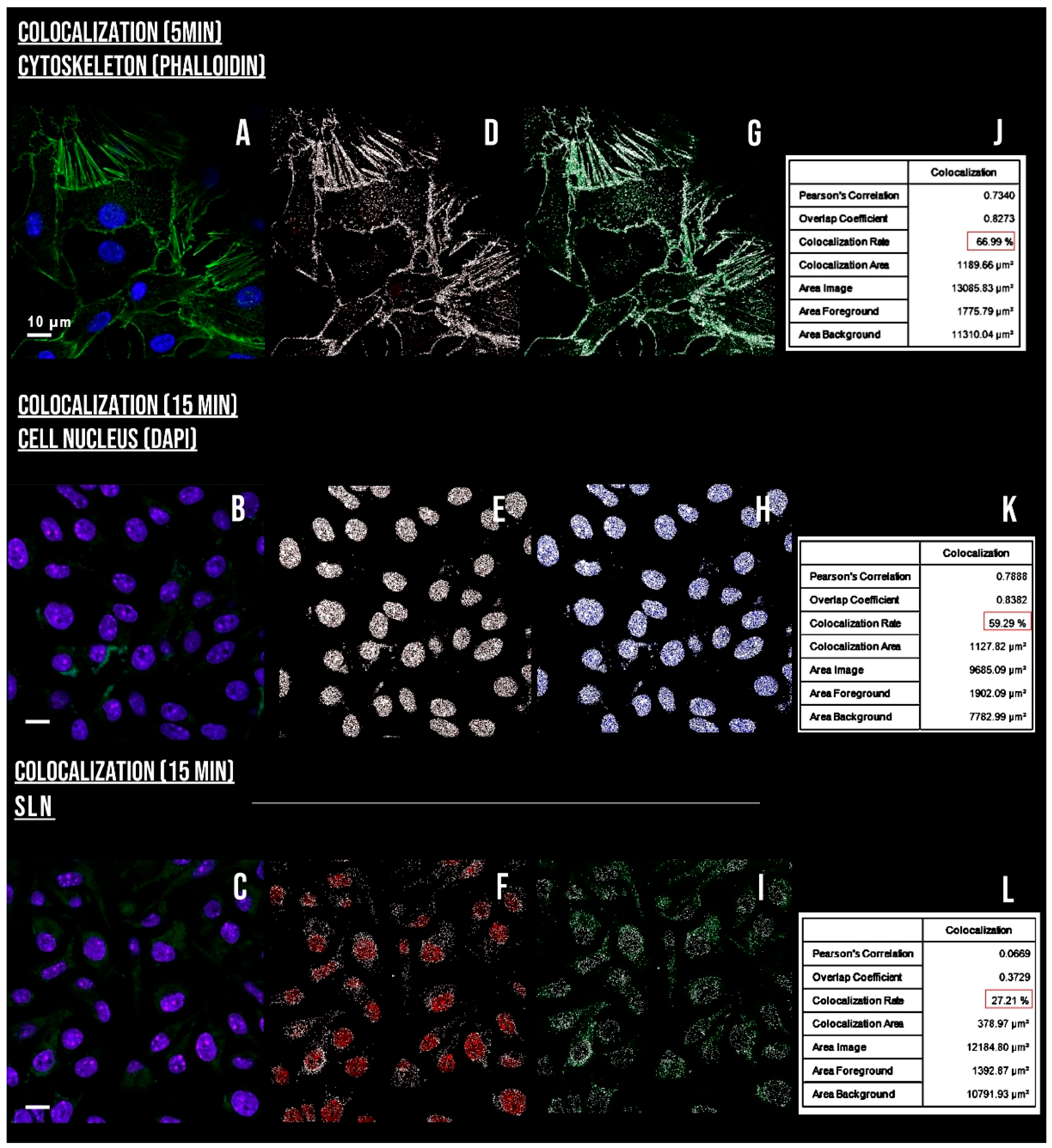 Nanomaterials 12 03547 g011 Nanomaterials 12 03547 g011