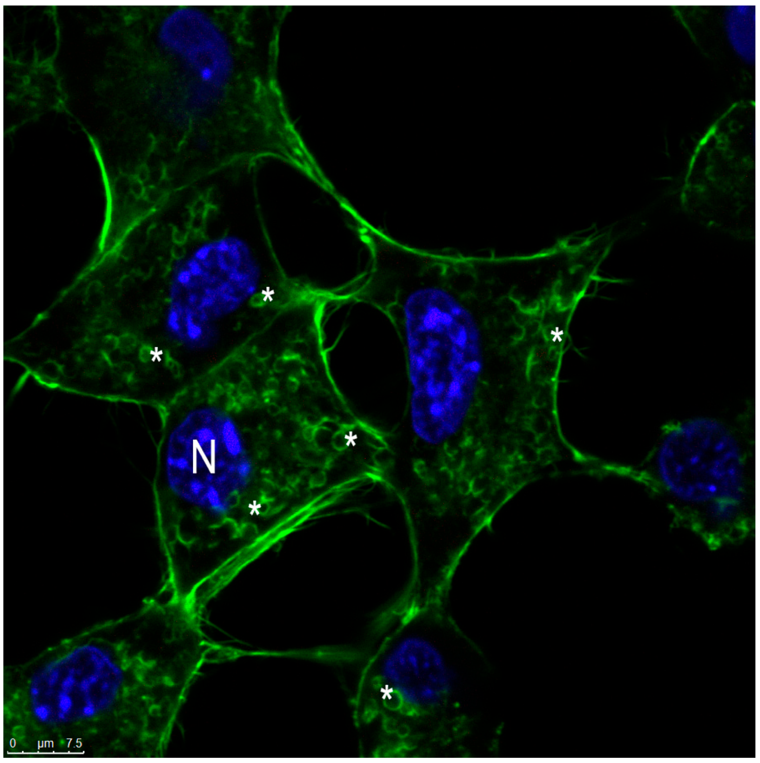 Nanomaterials 12 03547 g012 Nanomaterials 12 03547 g012