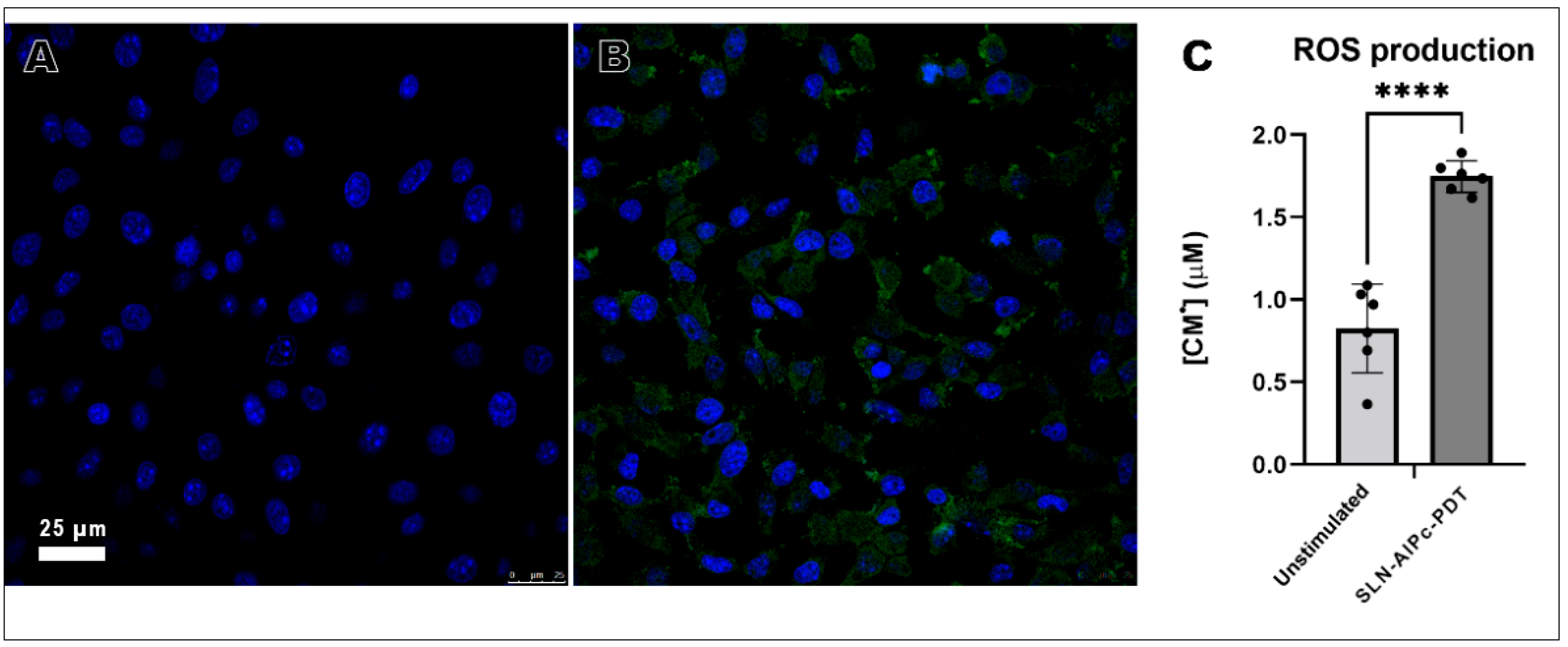Nanomaterials 12 03547 g014 Nanomaterials 12 03547 g014