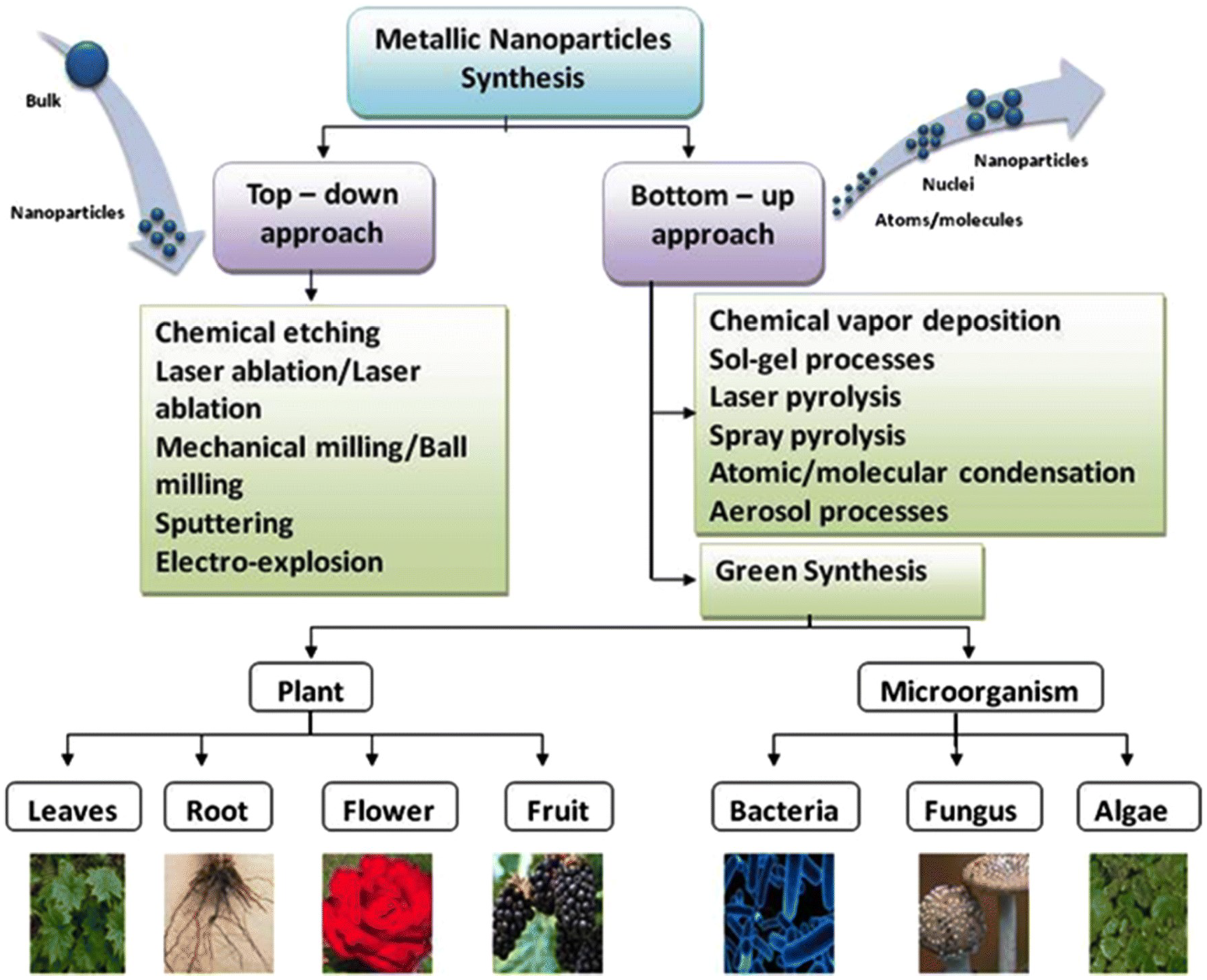 Nanomaterials 12 03550 g001 Nanomaterials 12 03550 g001