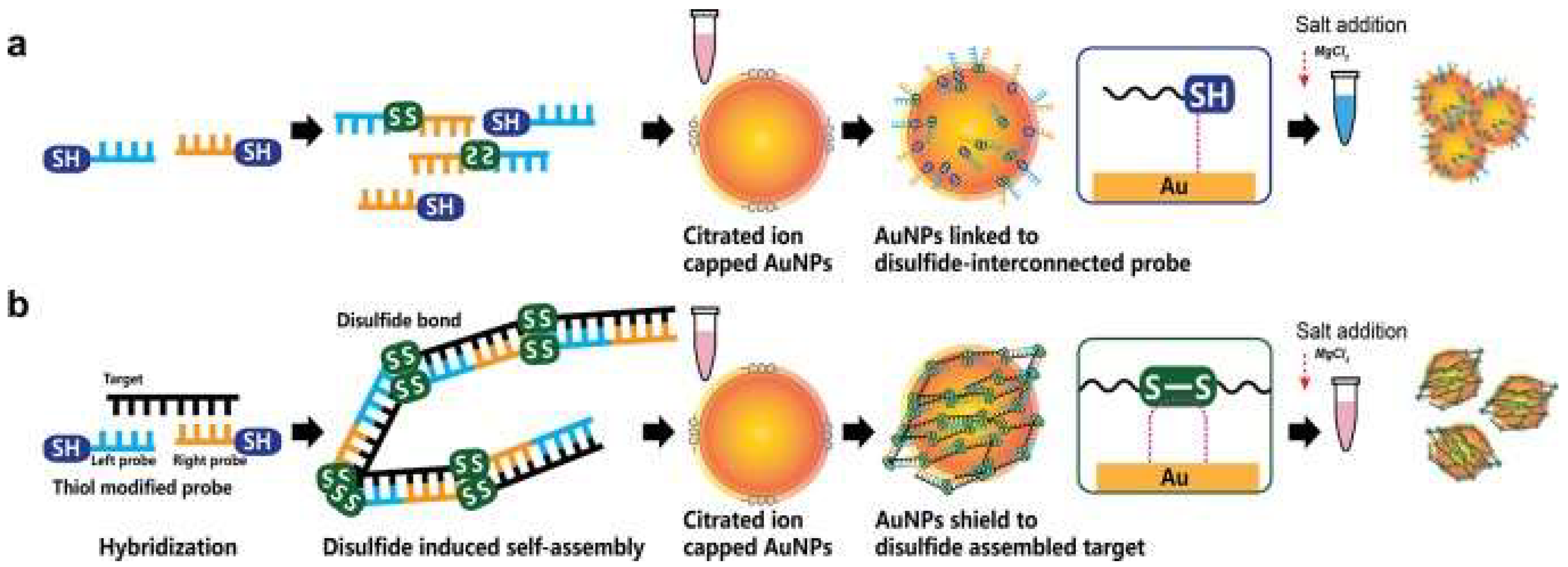 Nanomaterials 12 03550 g003 Nanomaterials 12 03550 g003