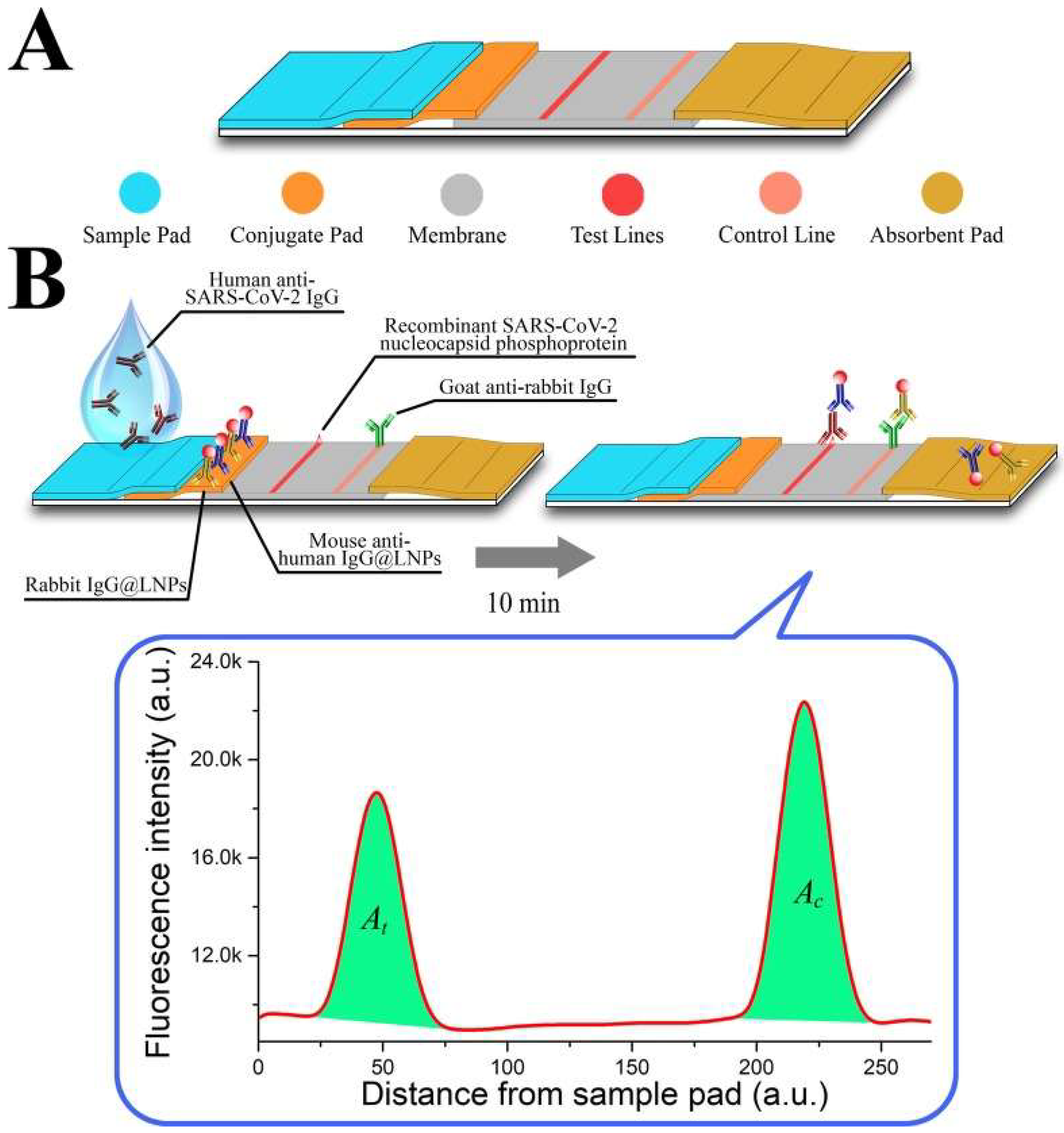 Nanomaterials 12 03550 g005 Nanomaterials 12 03550 g005