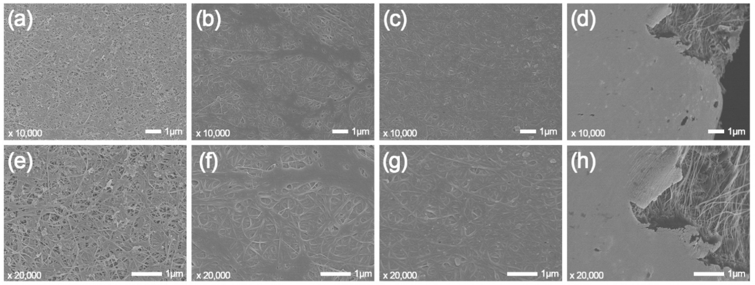 Nanomaterials 12 03552 g008