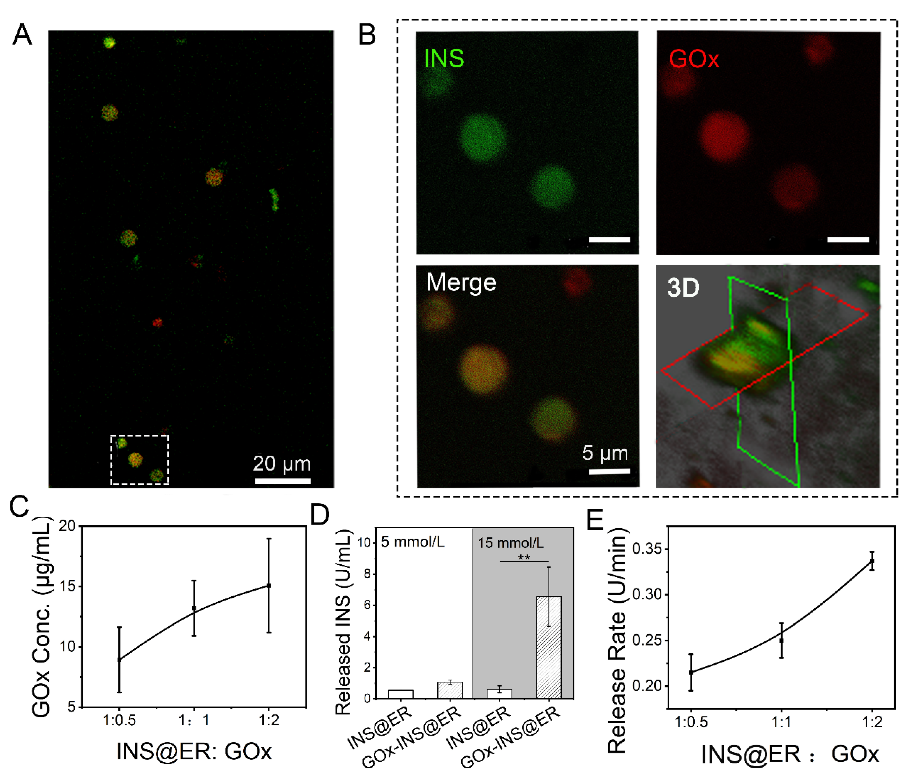 Nanomaterials 12 03556 g002 Nanomaterials 12 03556 g002