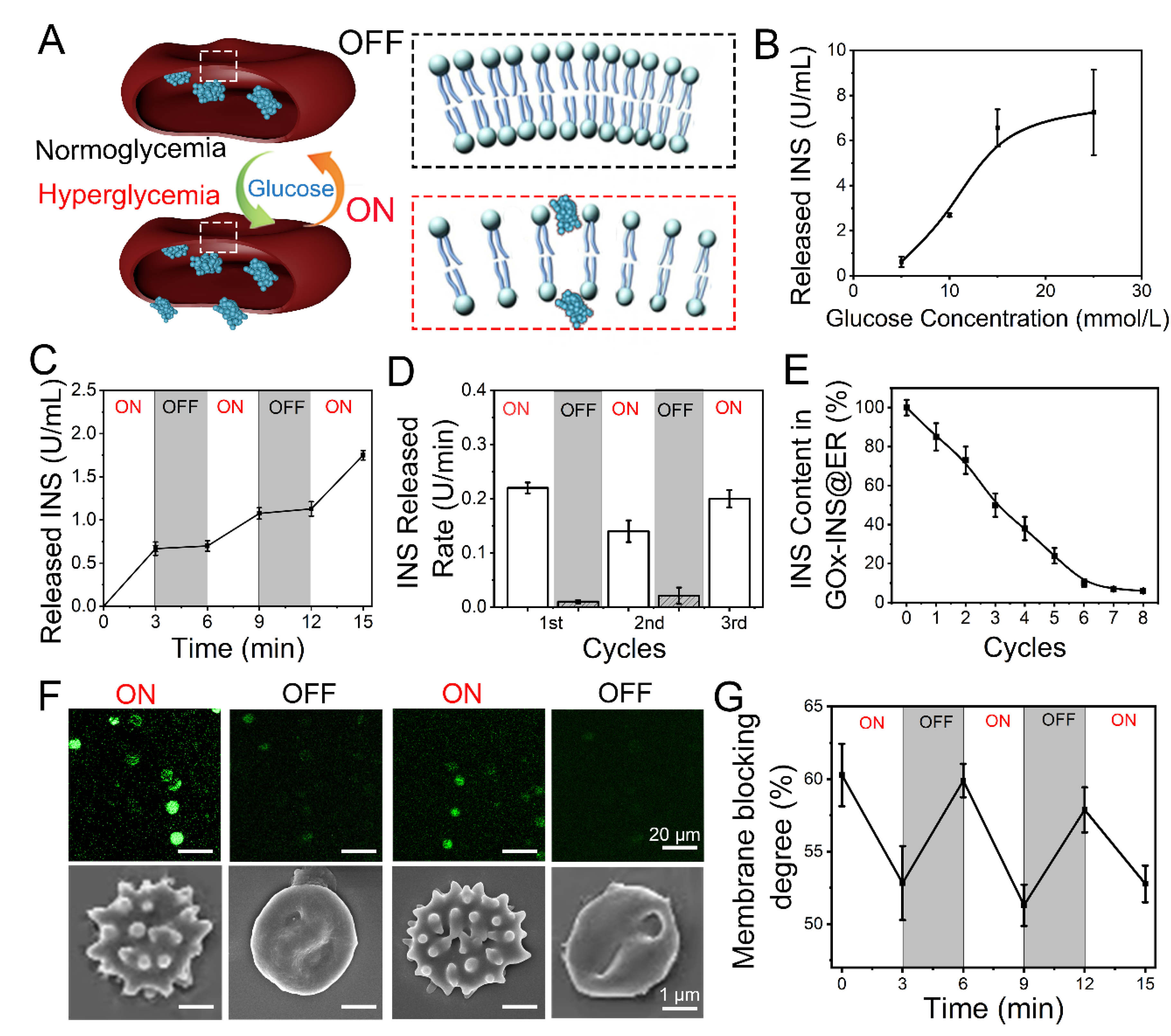 Nanomaterials 12 03556 g004 Nanomaterials 12 03556 g004