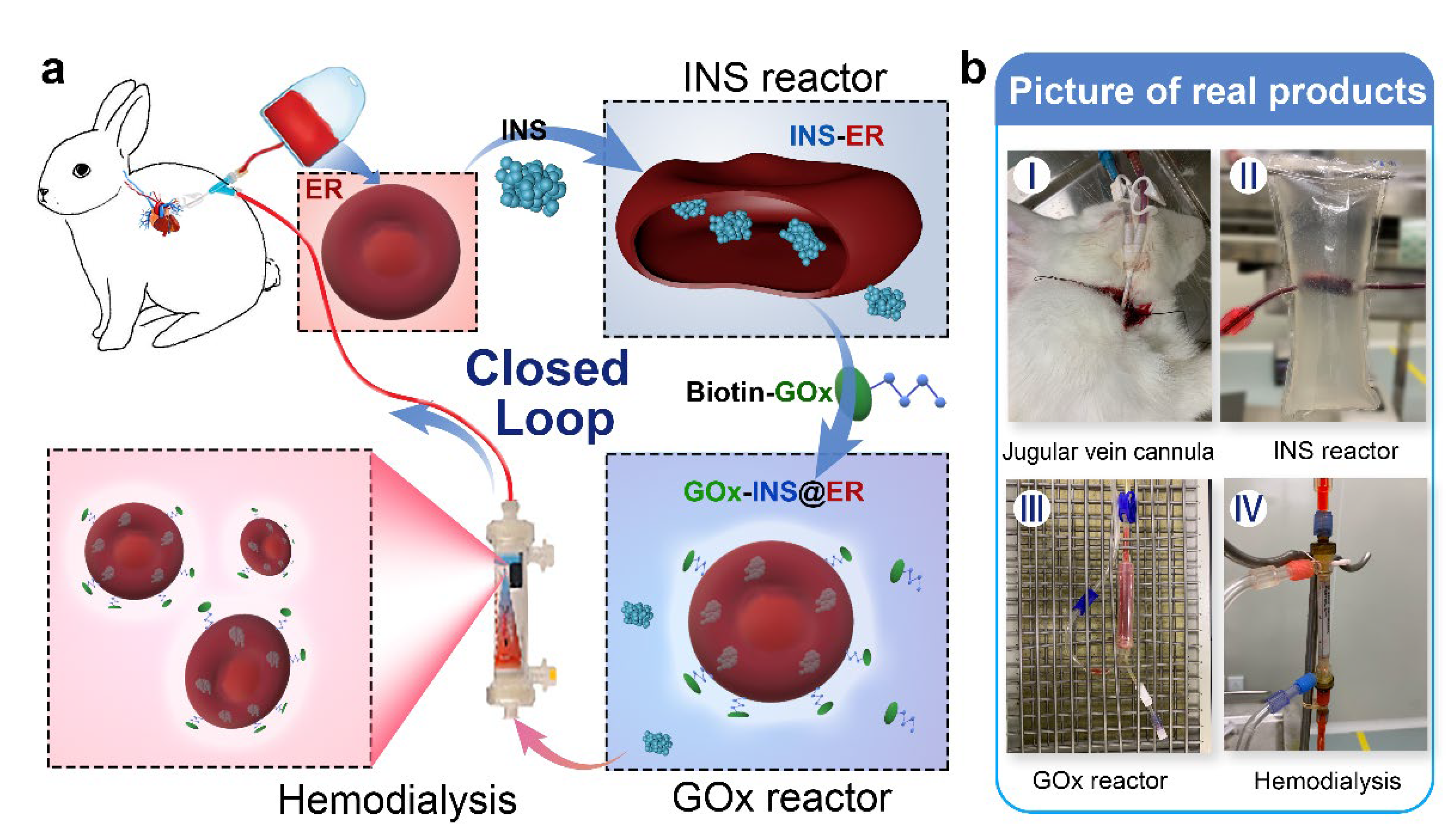 Nanomaterials 12 03556 sch001 Nanomaterials 12 03556 sch001