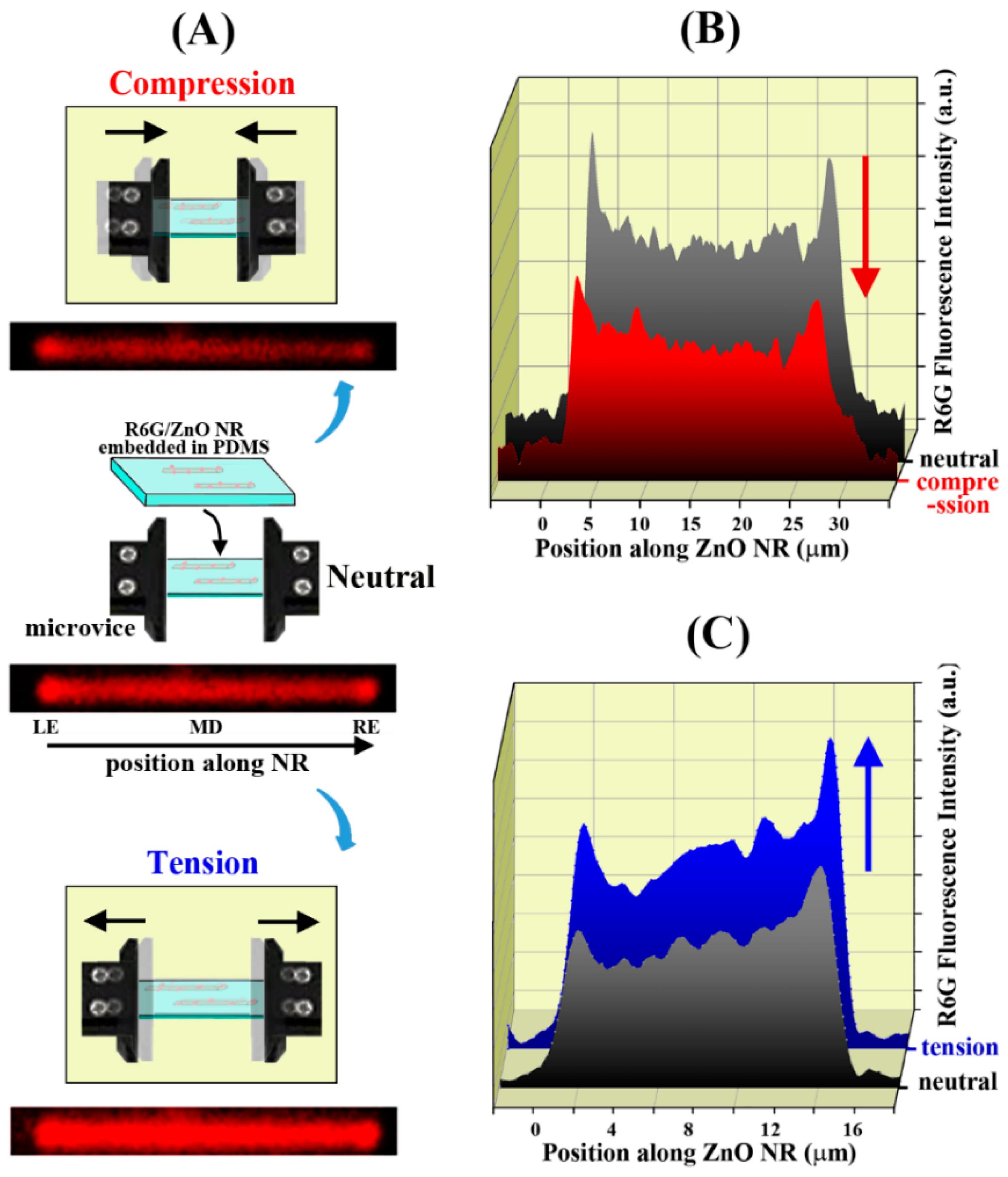 Nanomaterials 12 03558 g002