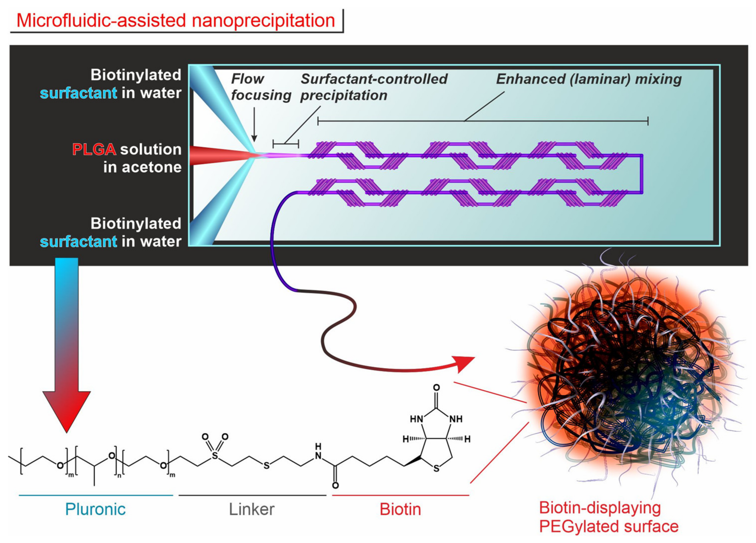 Nanomaterials 12 03560 g001 Nanomaterials 12 03560 g001