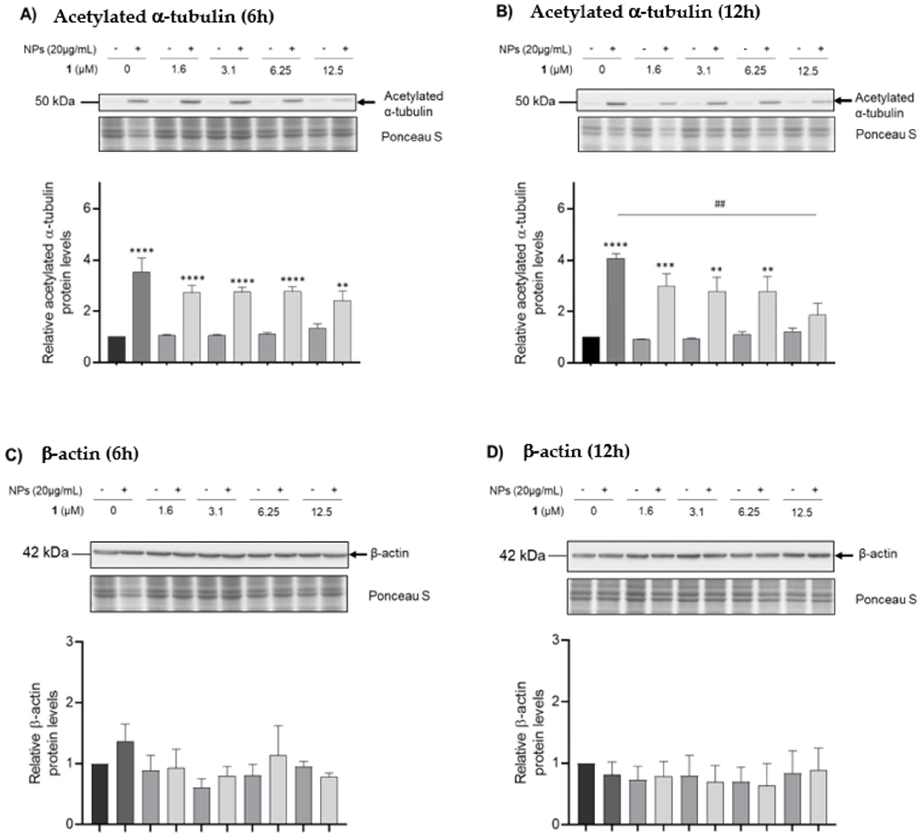 Nanomaterials 12 03561 g007 Nanomaterials 12 03561 g007