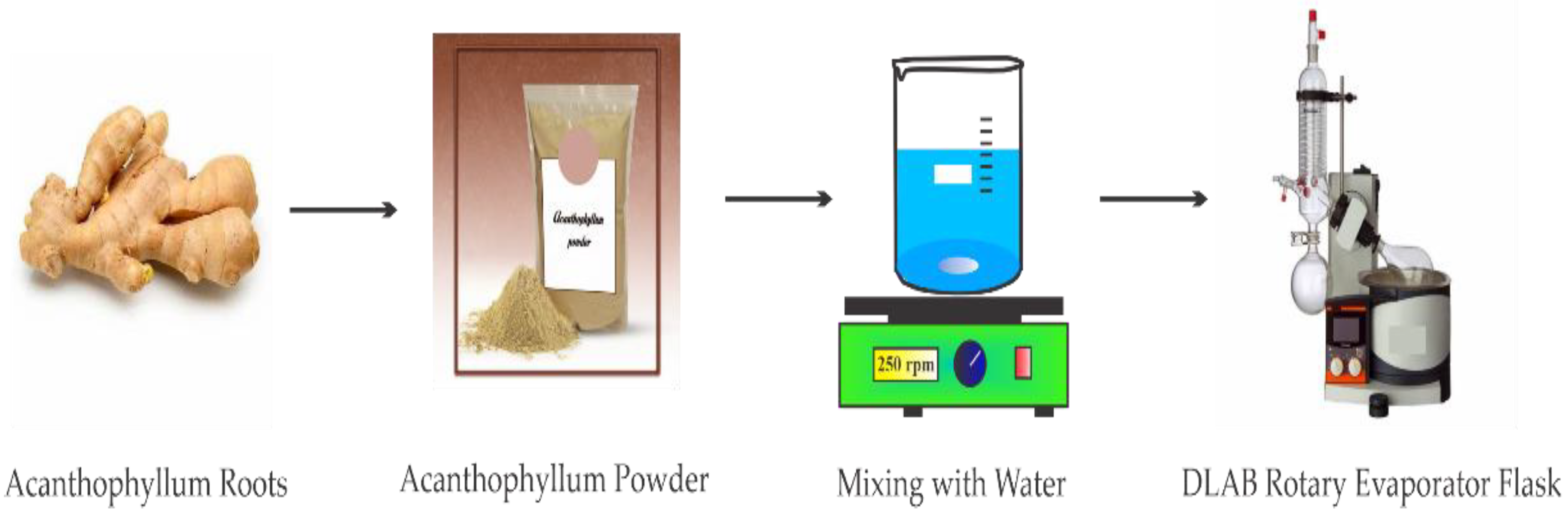 Nanomaterials 12 03563 g002