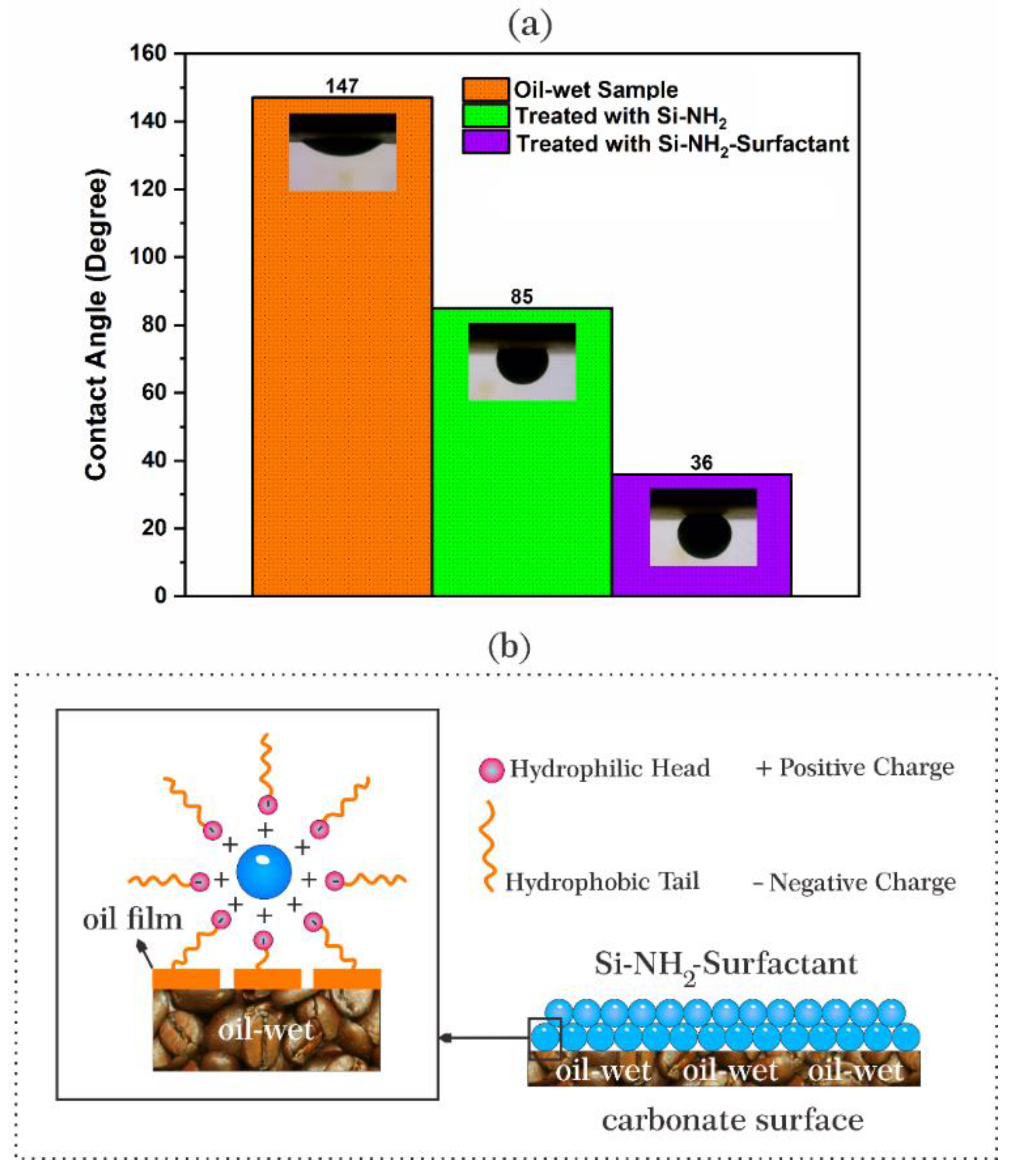 Nanomaterials 12 03563 g012