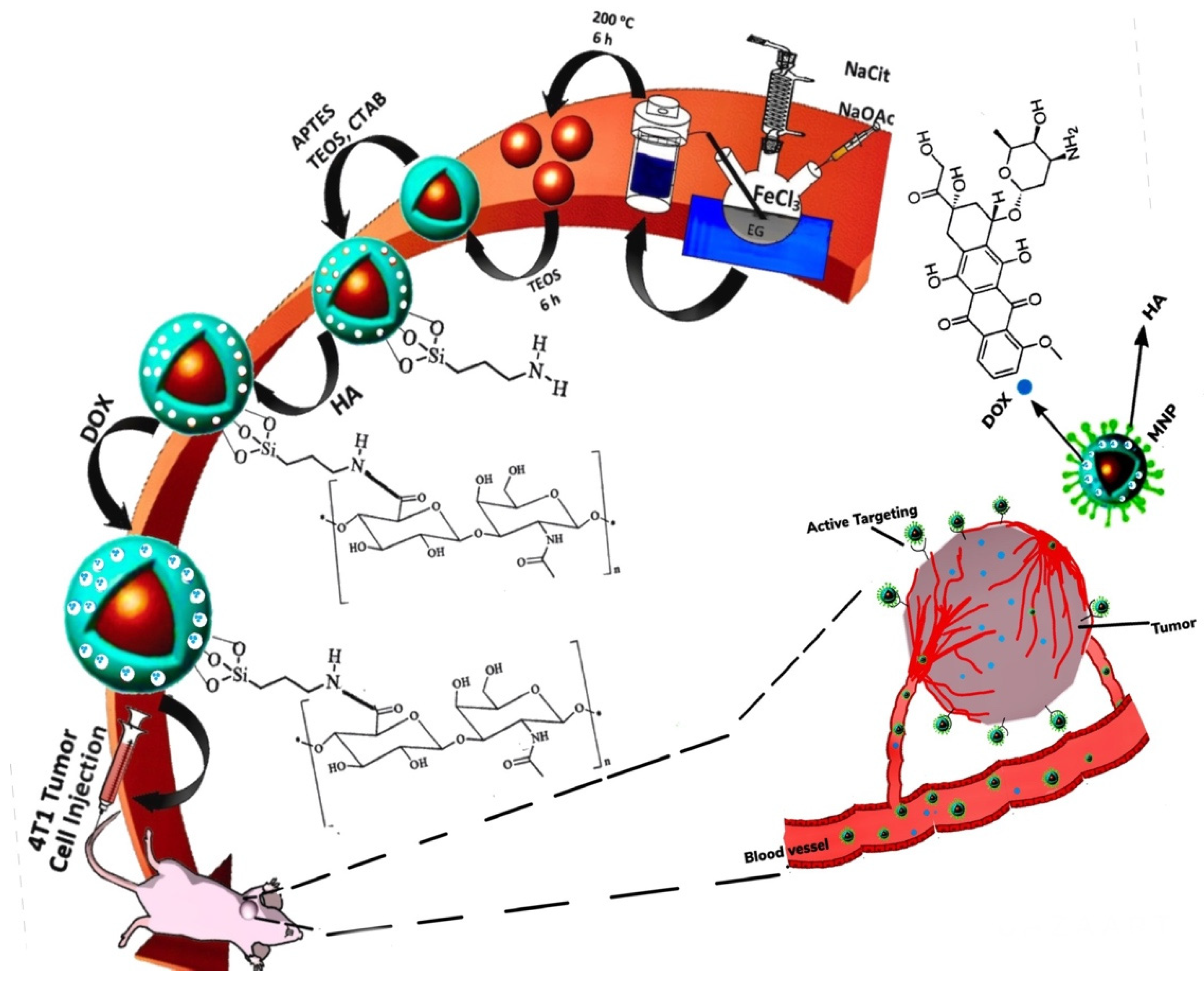 Nanomaterials 12 03567 g005 Nanomaterials 12 03567 g005