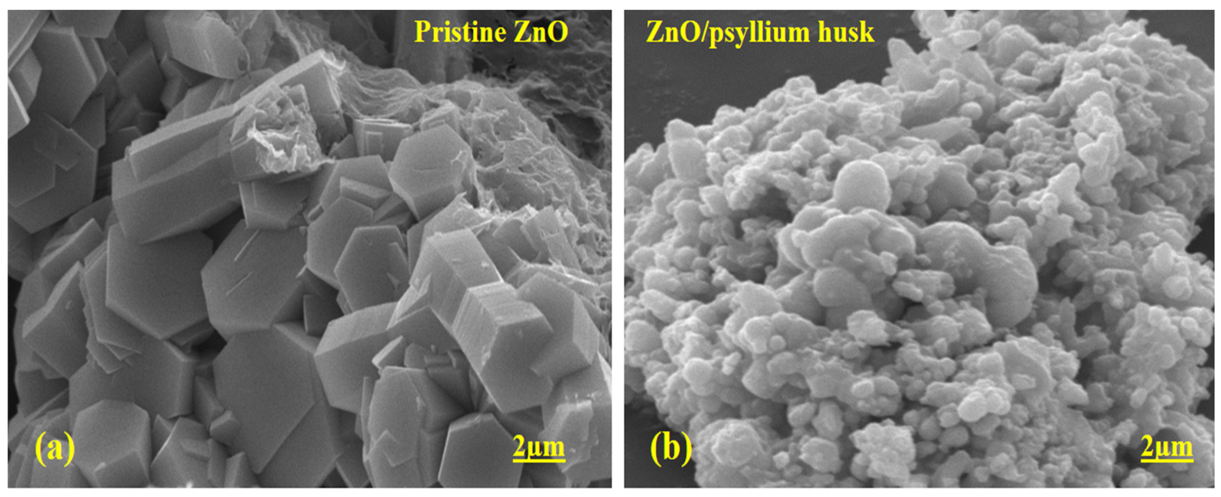 Nanomaterials 12 03568 g002 Nanomaterials 12 03568 g002