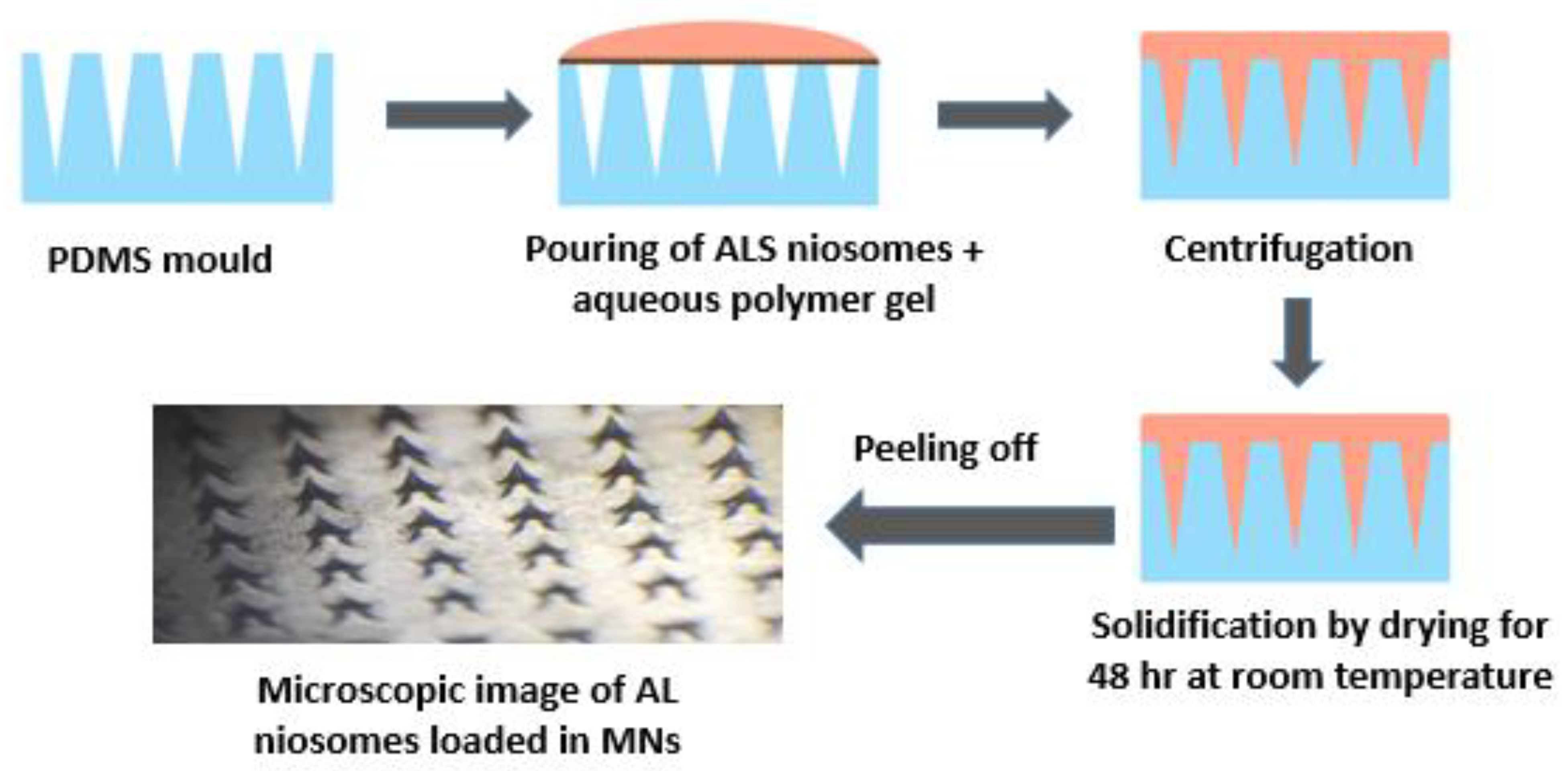 Nanomaterials 12 03570 g001