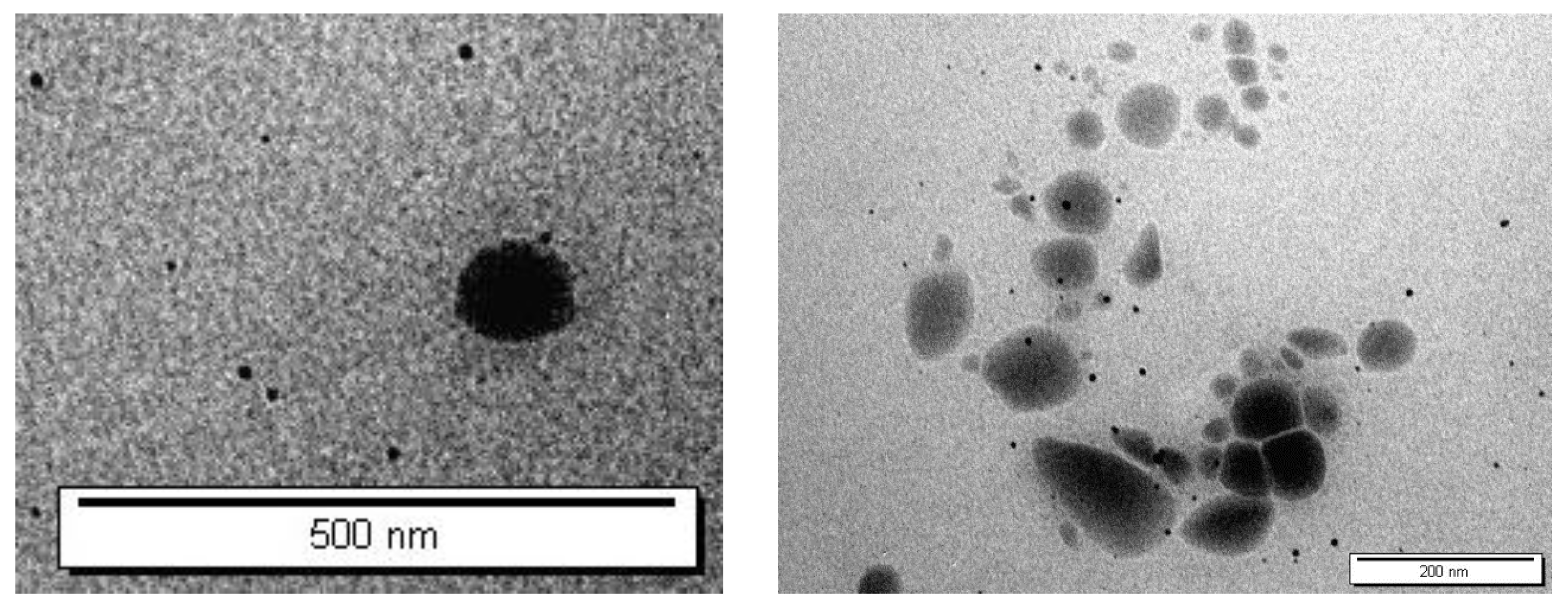 Nanomaterials 12 03570 g003