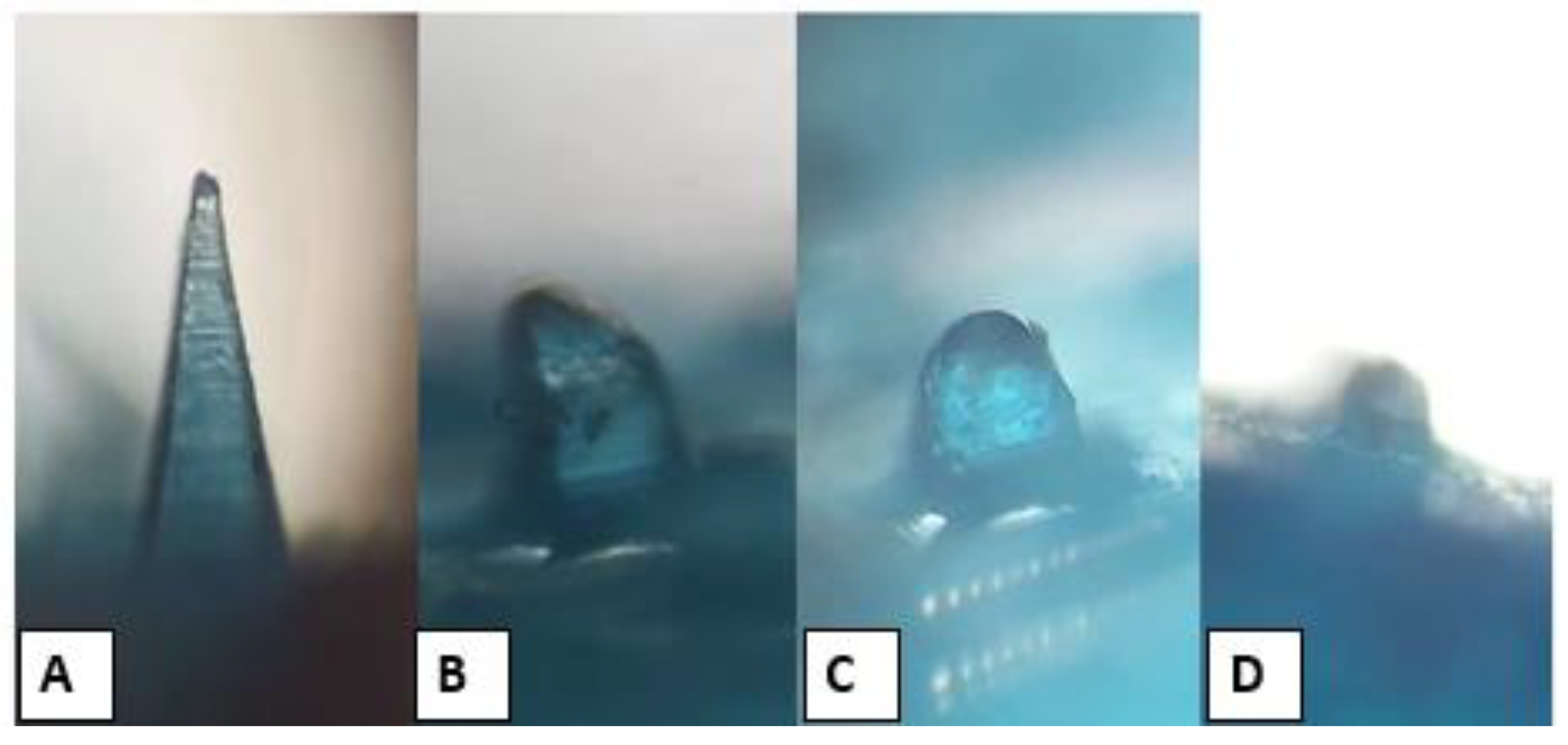 Nanomaterials 12 03570 g008