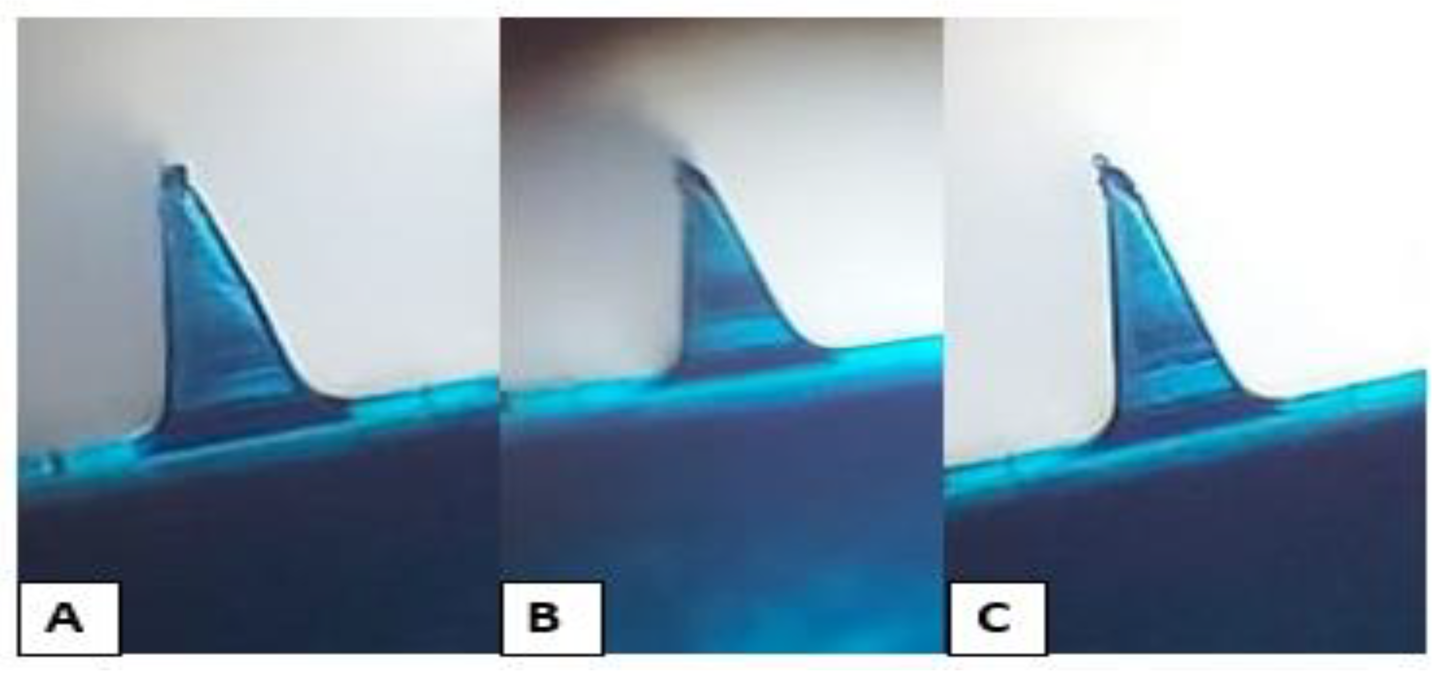 Nanomaterials 12 03570 g010
