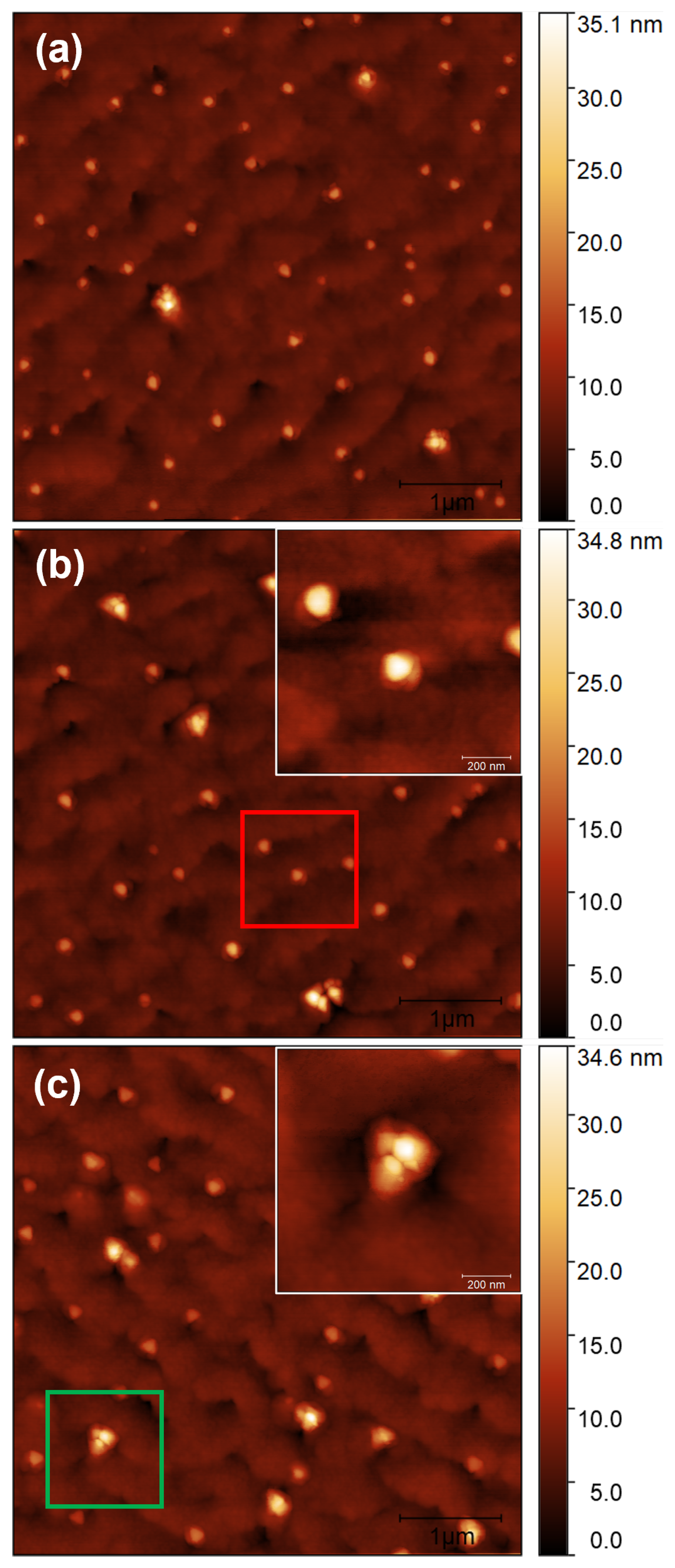 Nanomaterials 12 03571 g001