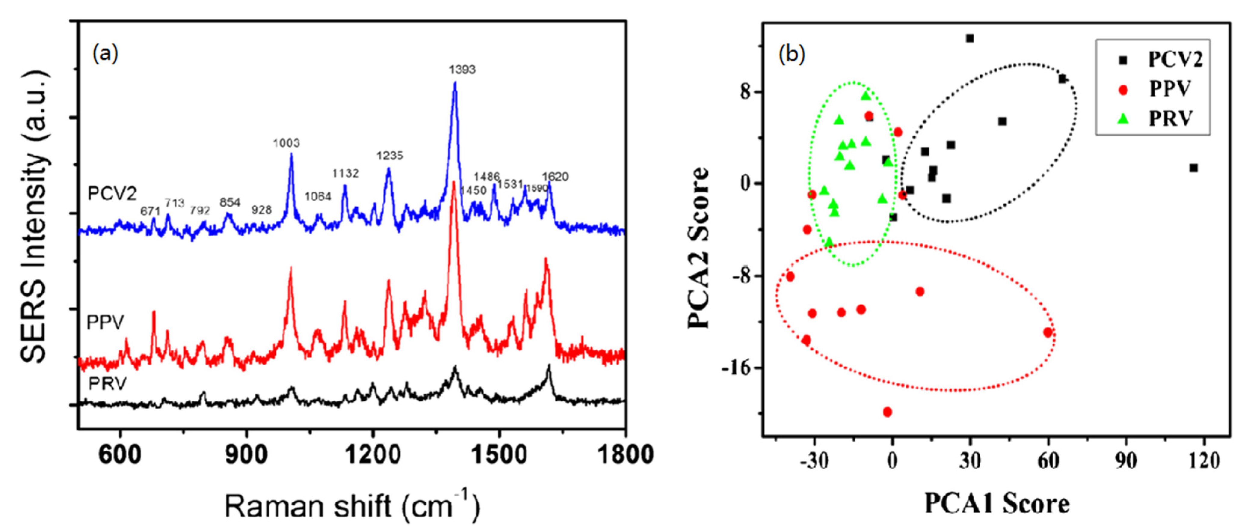 Nanomaterials 12 03572 g002 Nanomaterials 12 03572 g002