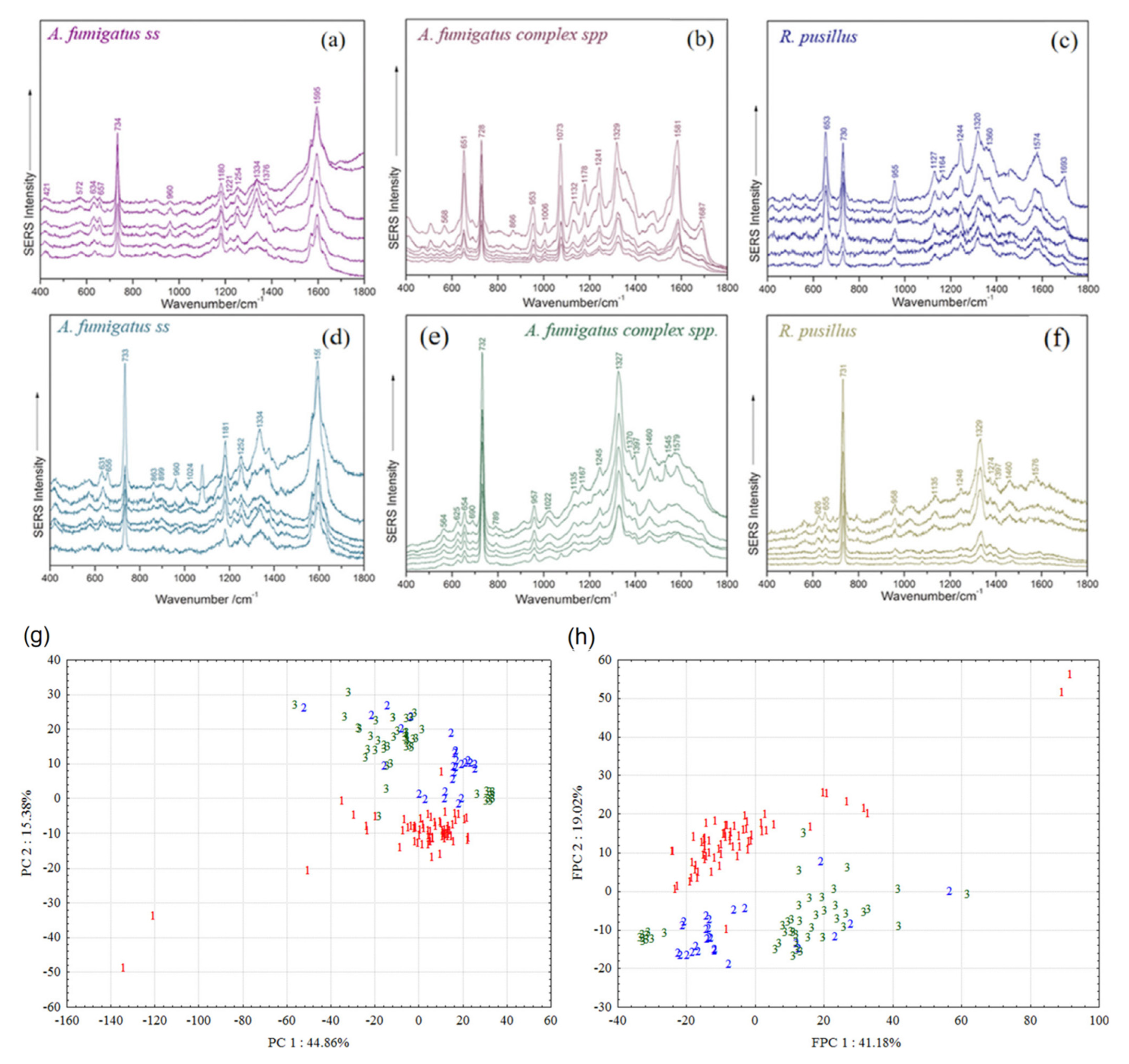 Nanomaterials 12 03572 g003 Nanomaterials 12 03572 g003