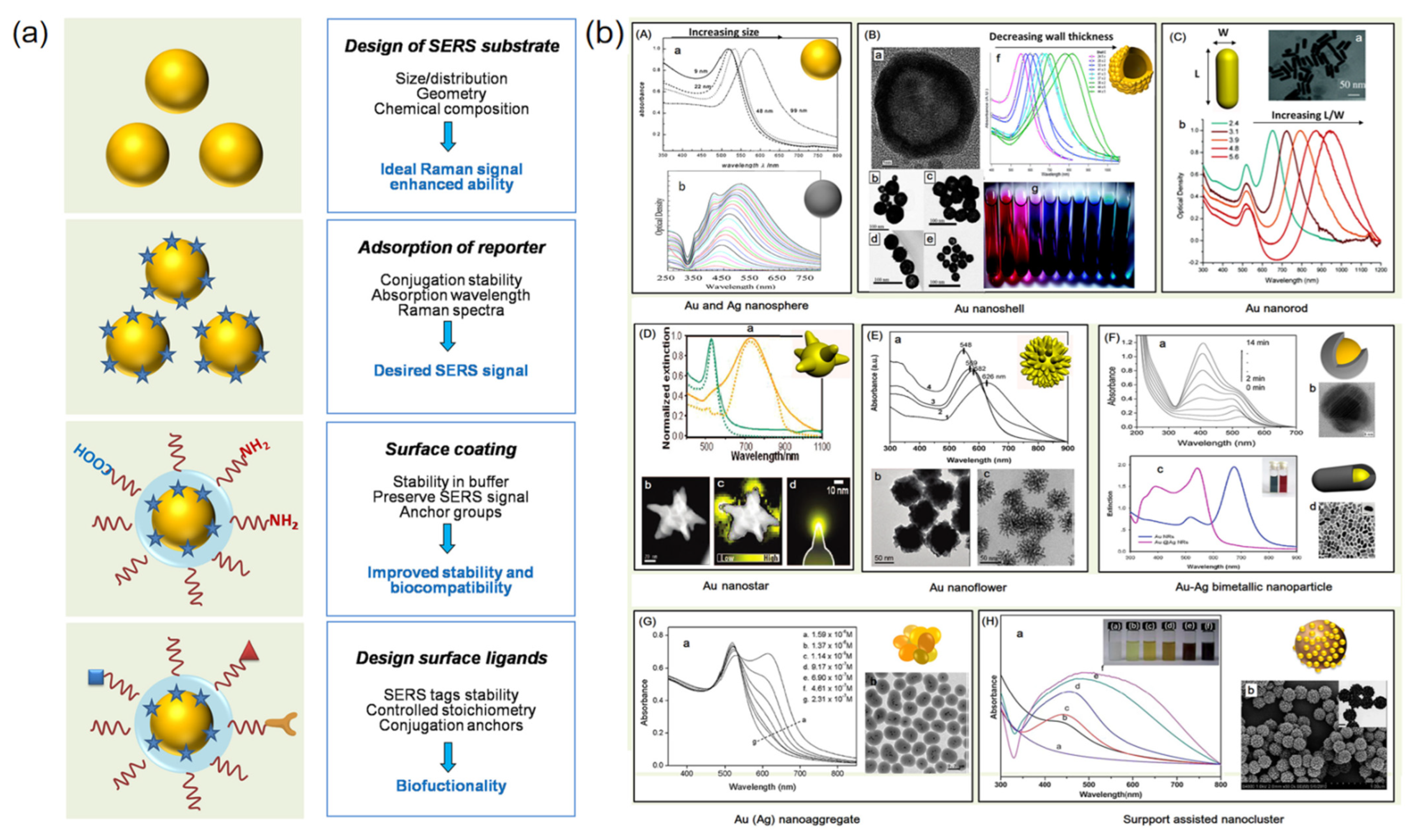 Nanomaterials 12 03572 g004 Nanomaterials 12 03572 g004