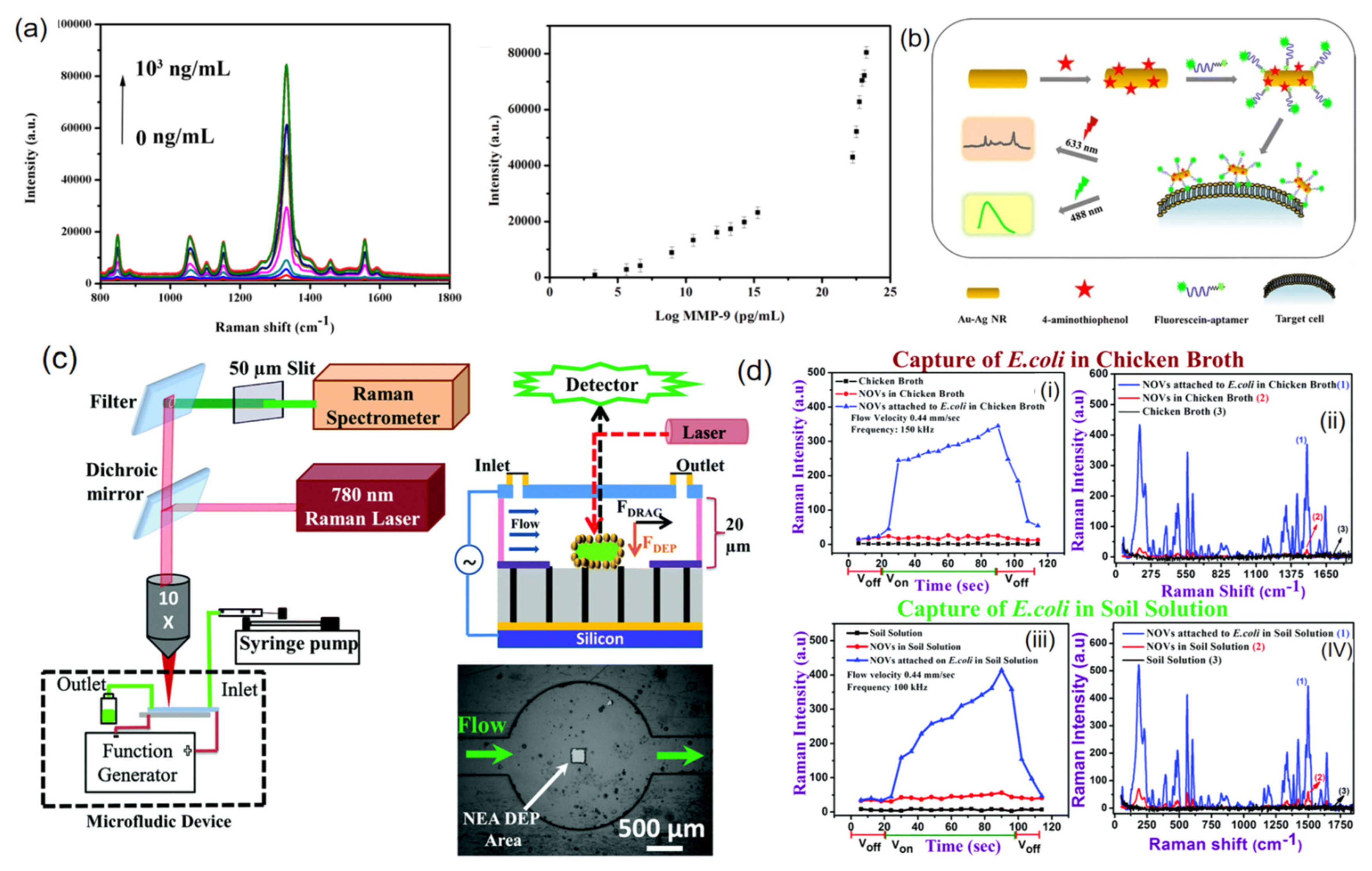 Nanomaterials 12 03572 g005 Nanomaterials 12 03572 g005
